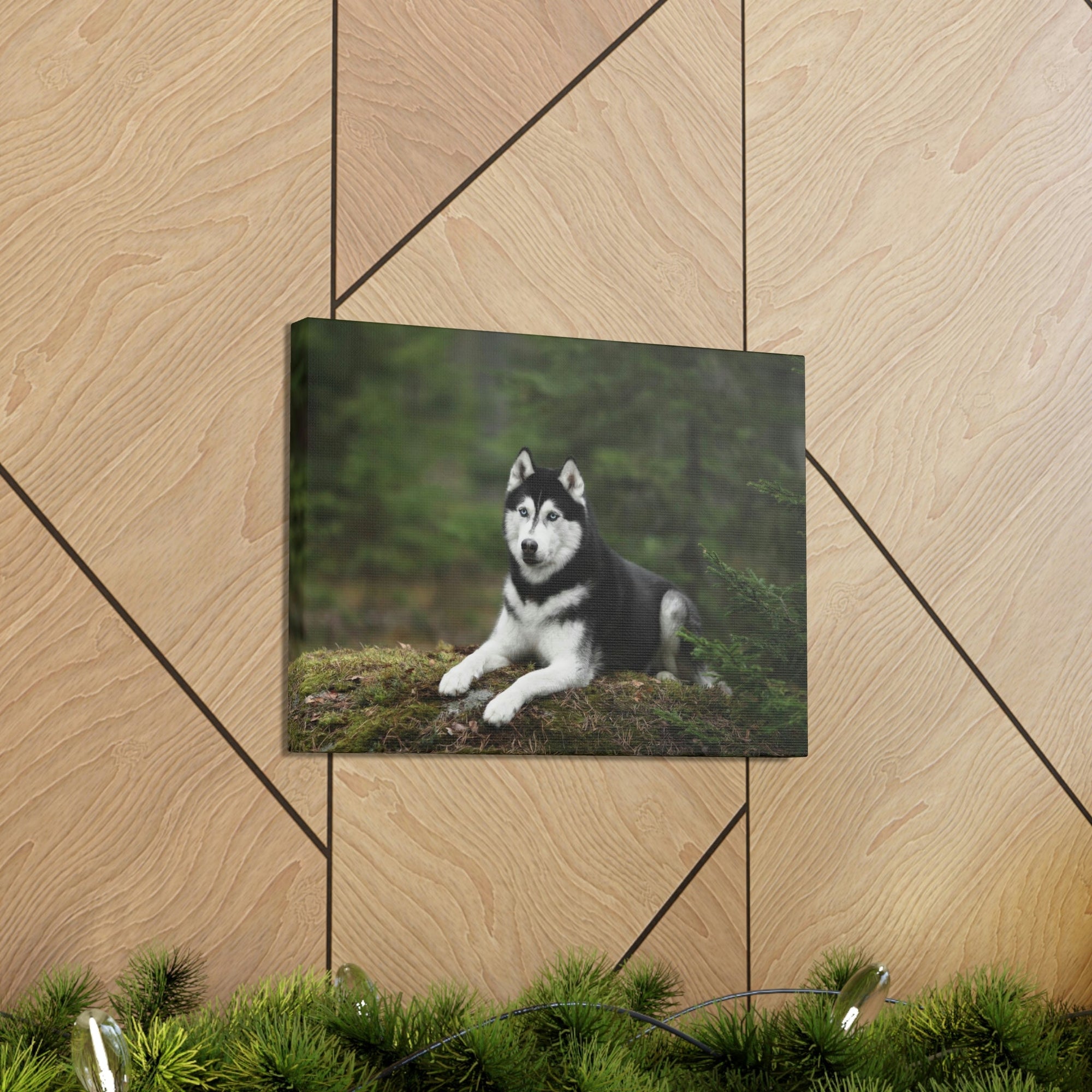 Scripture Walls Majestic Siberian Husky Art Majestic Siberian Husky Print Animal Wall Art Wildlife Canvas Prints Wall Art Ready to Hang Unframed-Express Your Love Gifts