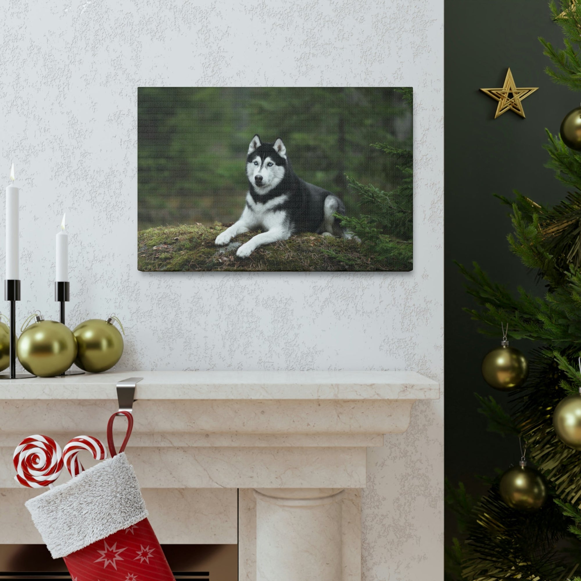 Scripture Walls Majestic Siberian Husky Art Majestic Siberian Husky Print Animal Wall Art Wildlife Canvas Prints Wall Art Ready to Hang Unframed-Express Your Love Gifts