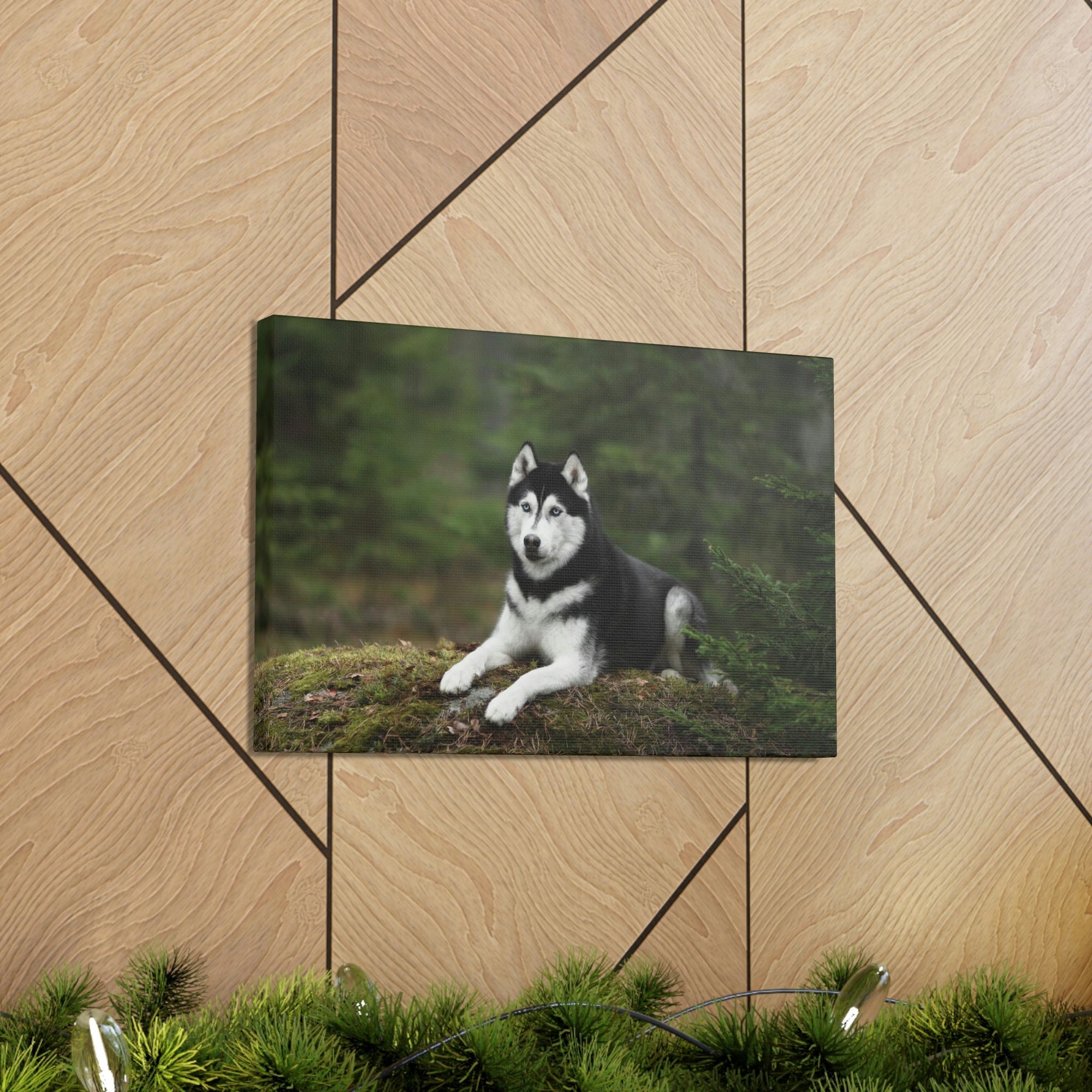 Scripture Walls Majestic Siberian Husky Art Majestic Siberian Husky Print Animal Wall Art Wildlife Canvas Prints Wall Art Ready to Hang Unframed-Express Your Love Gifts