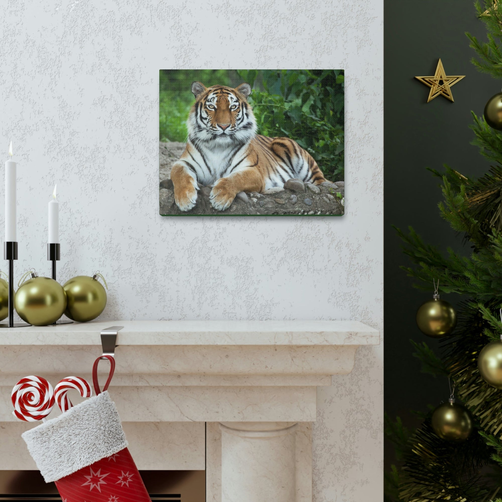 Scripture Walls Majestic Siberian Tiger Art Majestic Siberian Tiger Print Animal Wall Art Wildlife Canvas Prints Wall Art Ready to Hang Unframed-Express Your Love Gifts