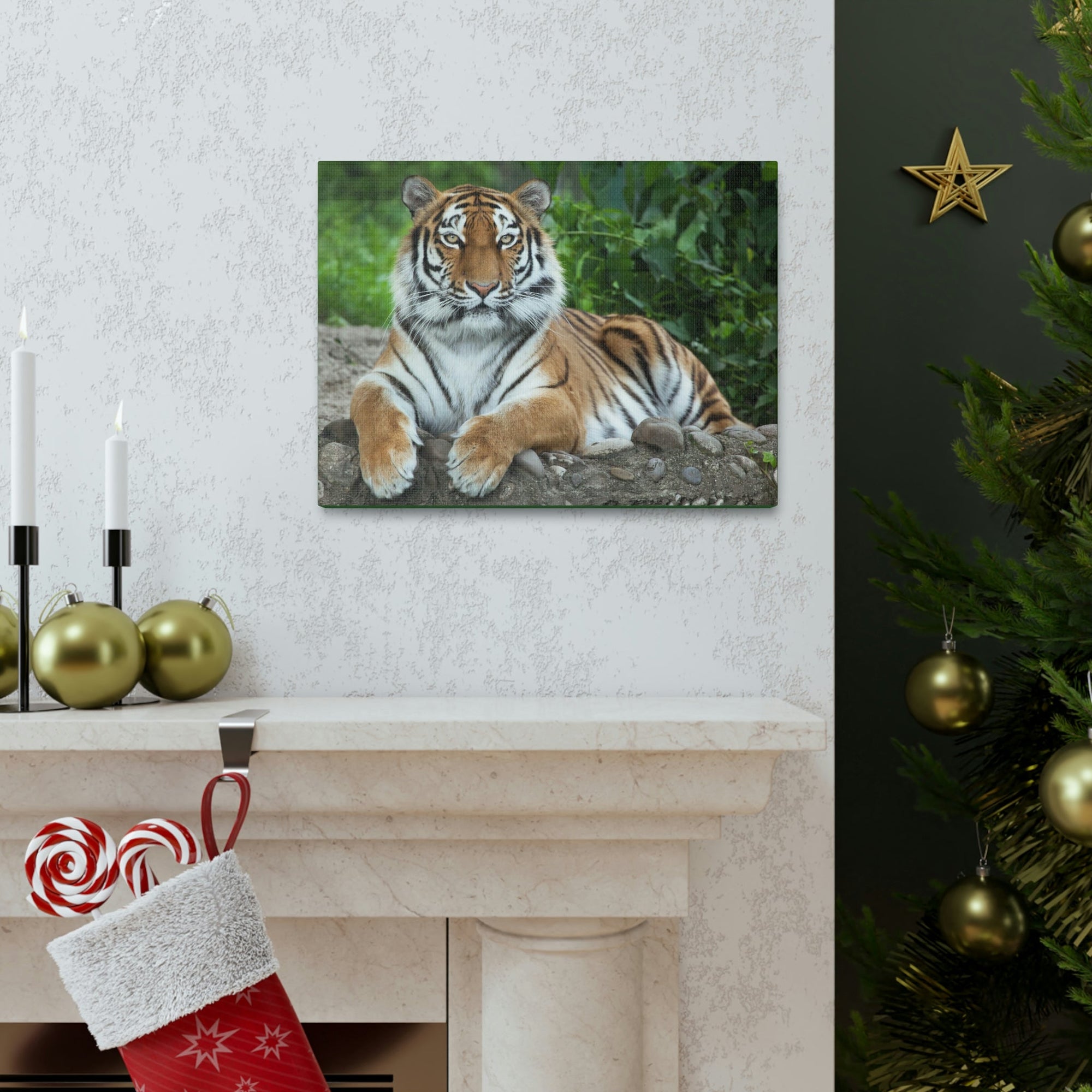 Scripture Walls Majestic Siberian Tiger Art Majestic Siberian Tiger Print Animal Wall Art Wildlife Canvas Prints Wall Art Ready to Hang Unframed-Express Your Love Gifts