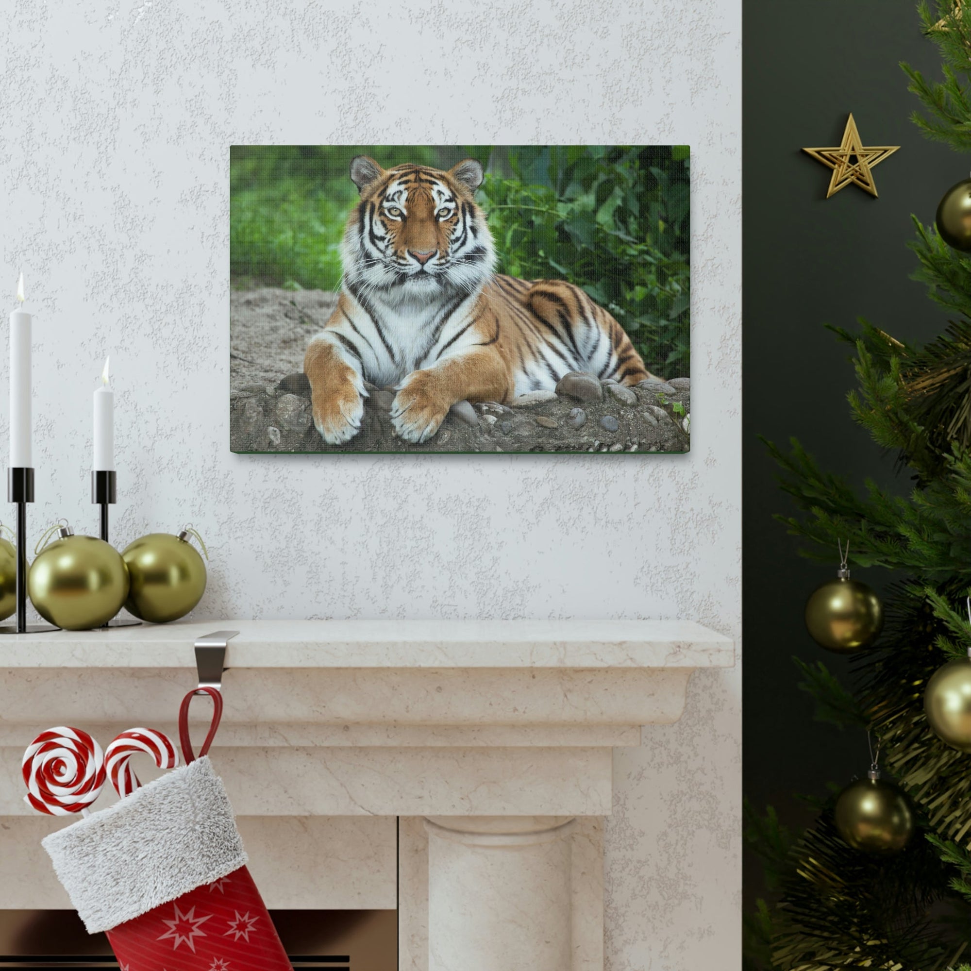 Scripture Walls Majestic Siberian Tiger Art Majestic Siberian Tiger Print Animal Wall Art Wildlife Canvas Prints Wall Art Ready to Hang Unframed-Express Your Love Gifts