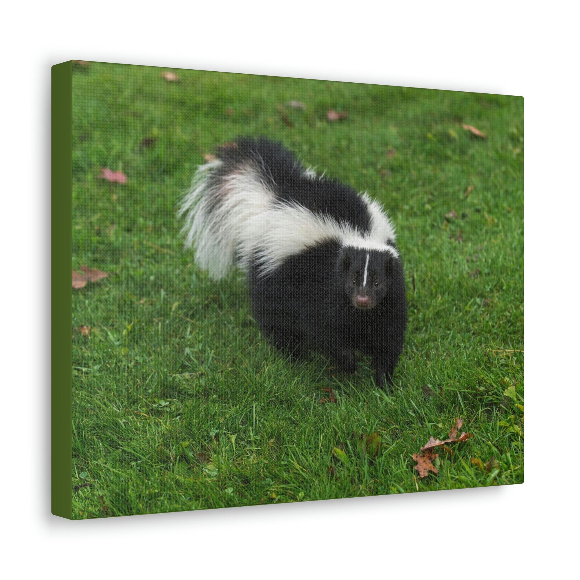 Scripture Walls Majestic Skunks Art Majestic Skunks Print Animal Wall Art Wildlife Canvas Prints Wall Art Ready to Hang Unframed-Express Your Love Gifts