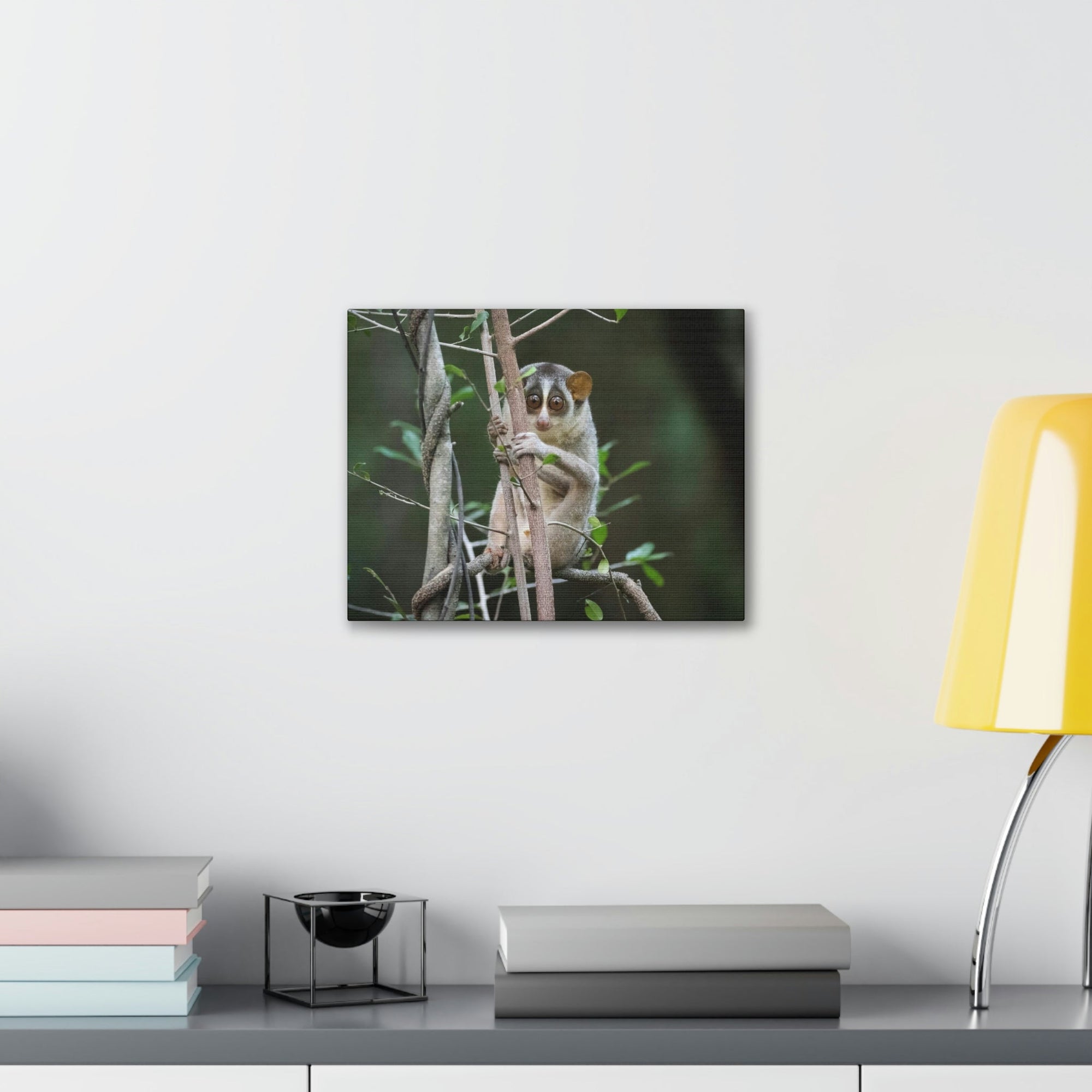 Scripture Walls Majestic Slender Loris Art Majestic Slender Loris Print Animal Wall Art Wildlife Canvas Prints Wall Art Ready to Hang Unframed-Express Your Love Gifts