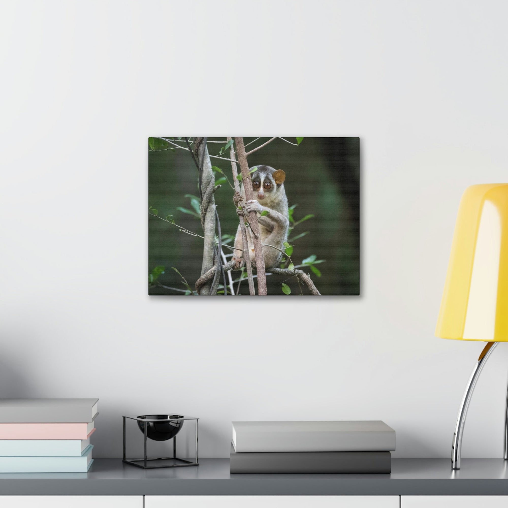 Scripture Walls Majestic Slender Loris Art Majestic Slender Loris Print Animal Wall Art Wildlife Canvas Prints Wall Art Ready to Hang Unframed-Express Your Love Gifts