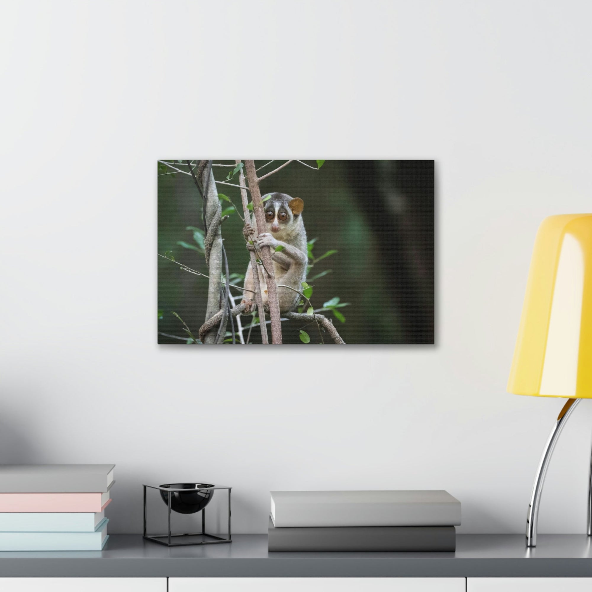 Scripture Walls Majestic Slender Loris Art Majestic Slender Loris Print Animal Wall Art Wildlife Canvas Prints Wall Art Ready to Hang Unframed-Express Your Love Gifts