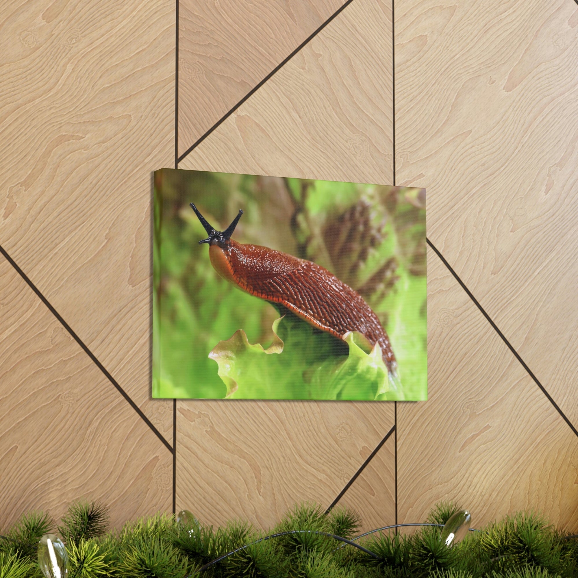 Scripture Walls Majestic Slug Art Majestic Slug Print Animal Wall Art Wildlife Canvas Prints Wall Art Ready to Hang Unframed-Express Your Love Gifts