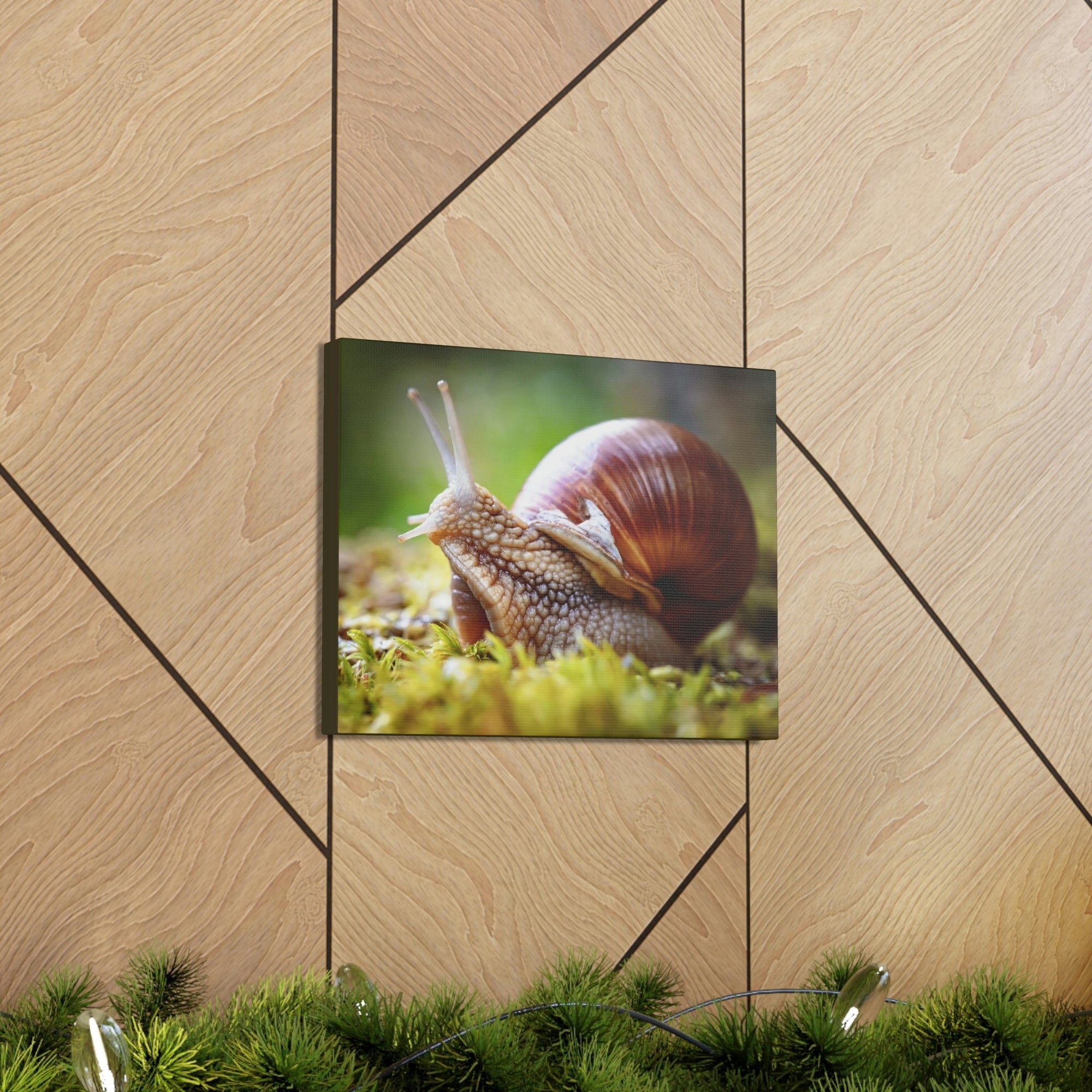 Scripture Walls Majestic Snails Art Majestic Snails Print Animal Wall Art Wildlife Canvas Prints Wall Art Ready to Hang Unframed-Express Your Love Gifts