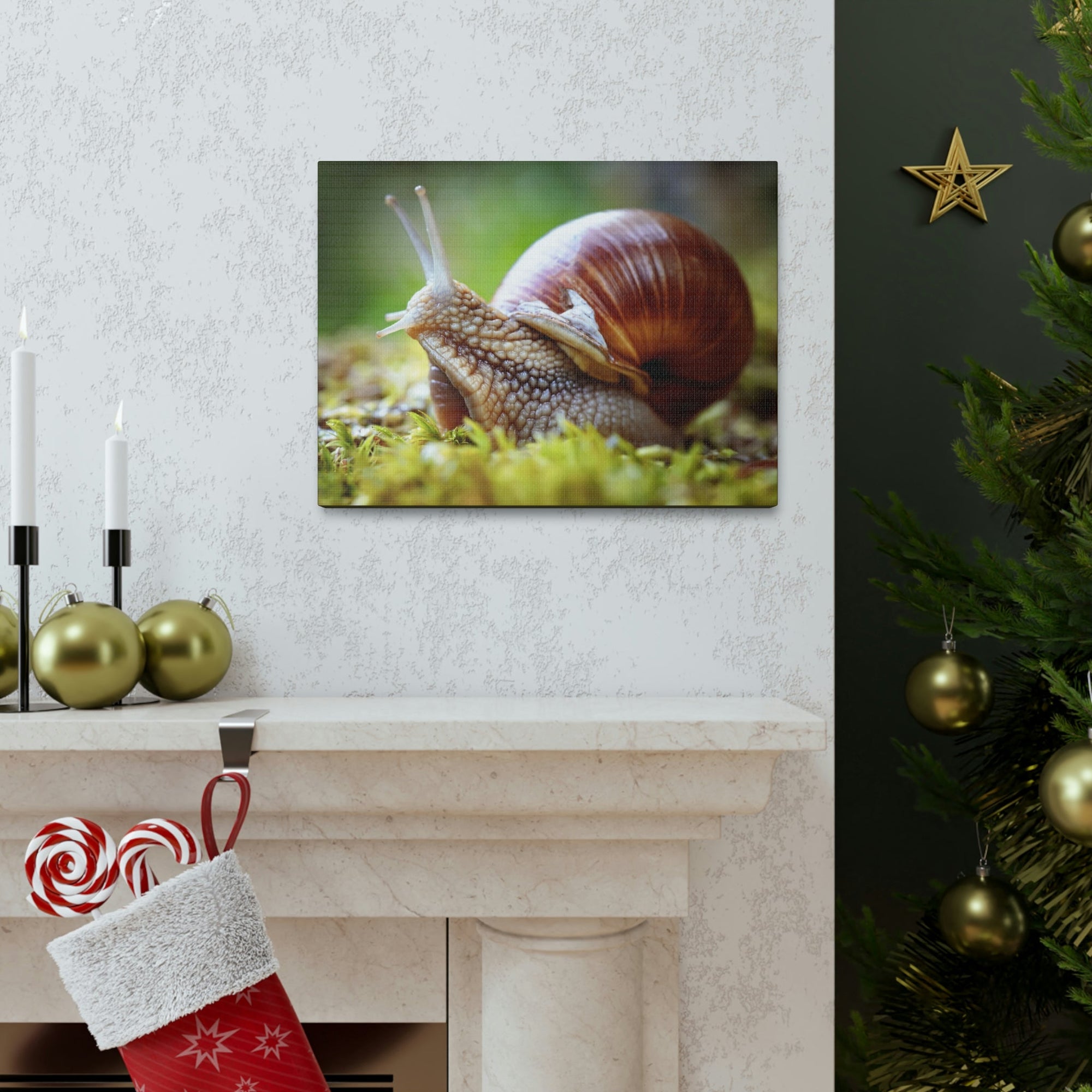 Scripture Walls Majestic Snails Art Majestic Snails Print Animal Wall Art Wildlife Canvas Prints Wall Art Ready to Hang Unframed-Express Your Love Gifts