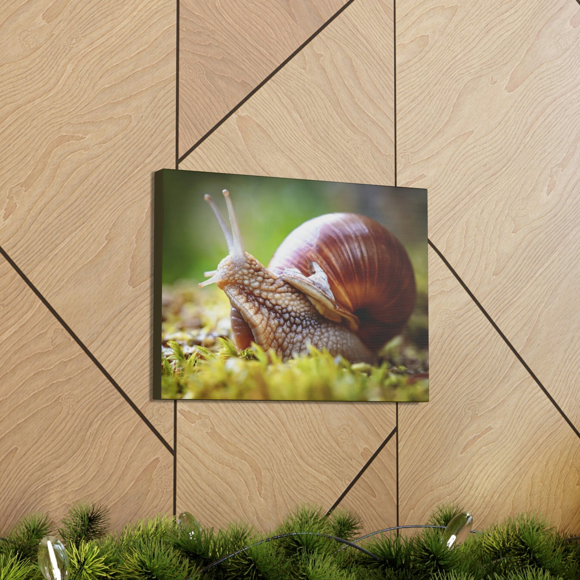 Scripture Walls Majestic Snails Art Majestic Snails Print Animal Wall Art Wildlife Canvas Prints Wall Art Ready to Hang Unframed-Express Your Love Gifts