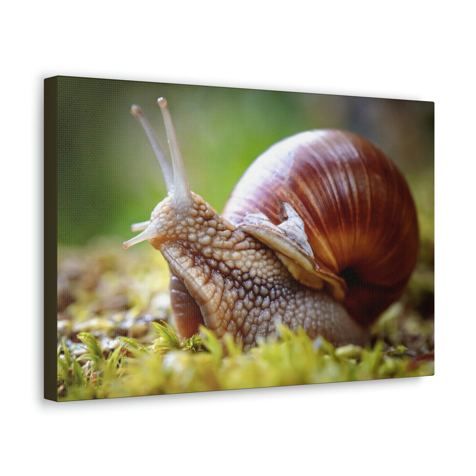 Scripture Walls Majestic Snails Art Majestic Snails Print Animal Wall Art Wildlife Canvas Prints Wall Art Ready to Hang Unframed-Express Your Love Gifts