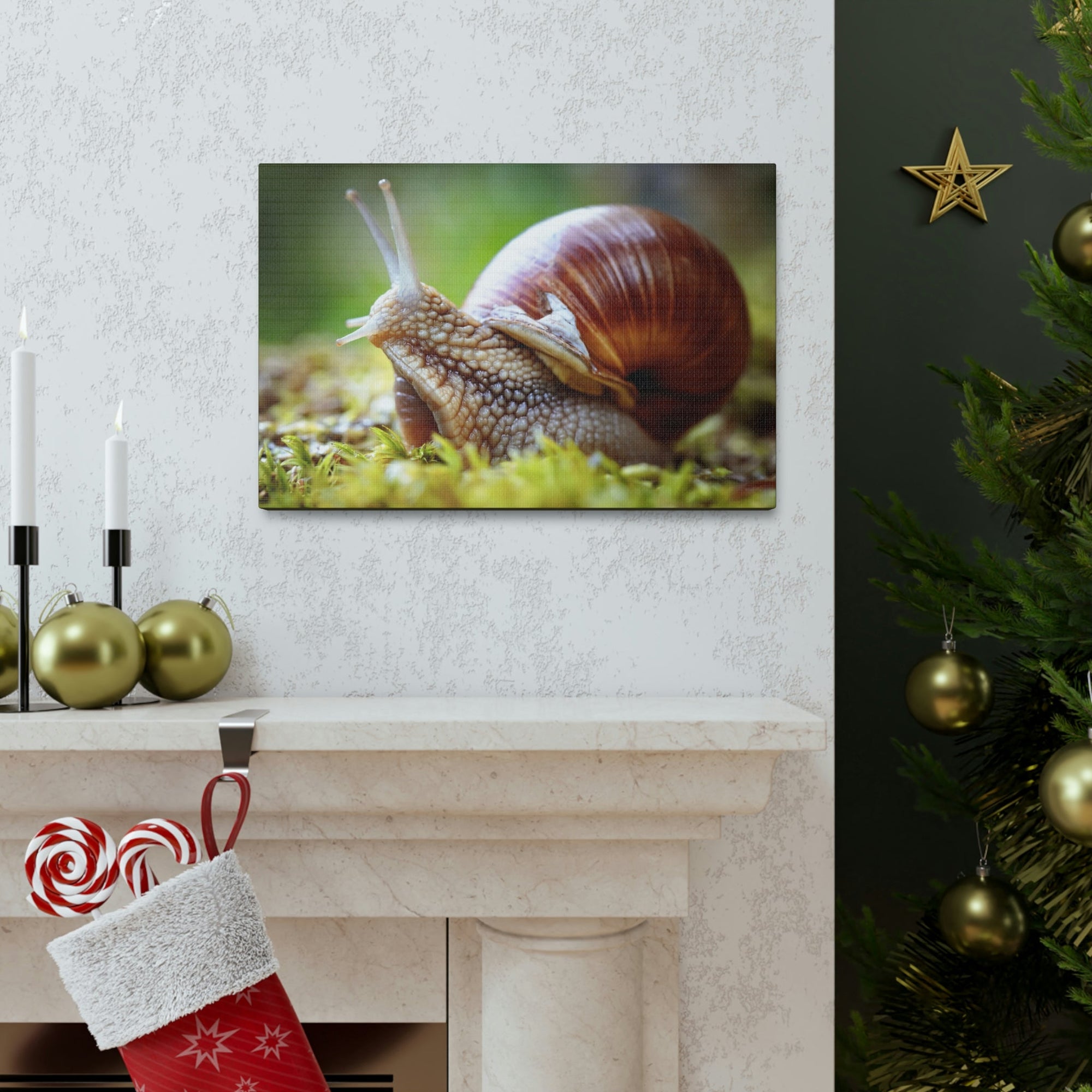 Scripture Walls Majestic Snails Art Majestic Snails Print Animal Wall Art Wildlife Canvas Prints Wall Art Ready to Hang Unframed-Express Your Love Gifts