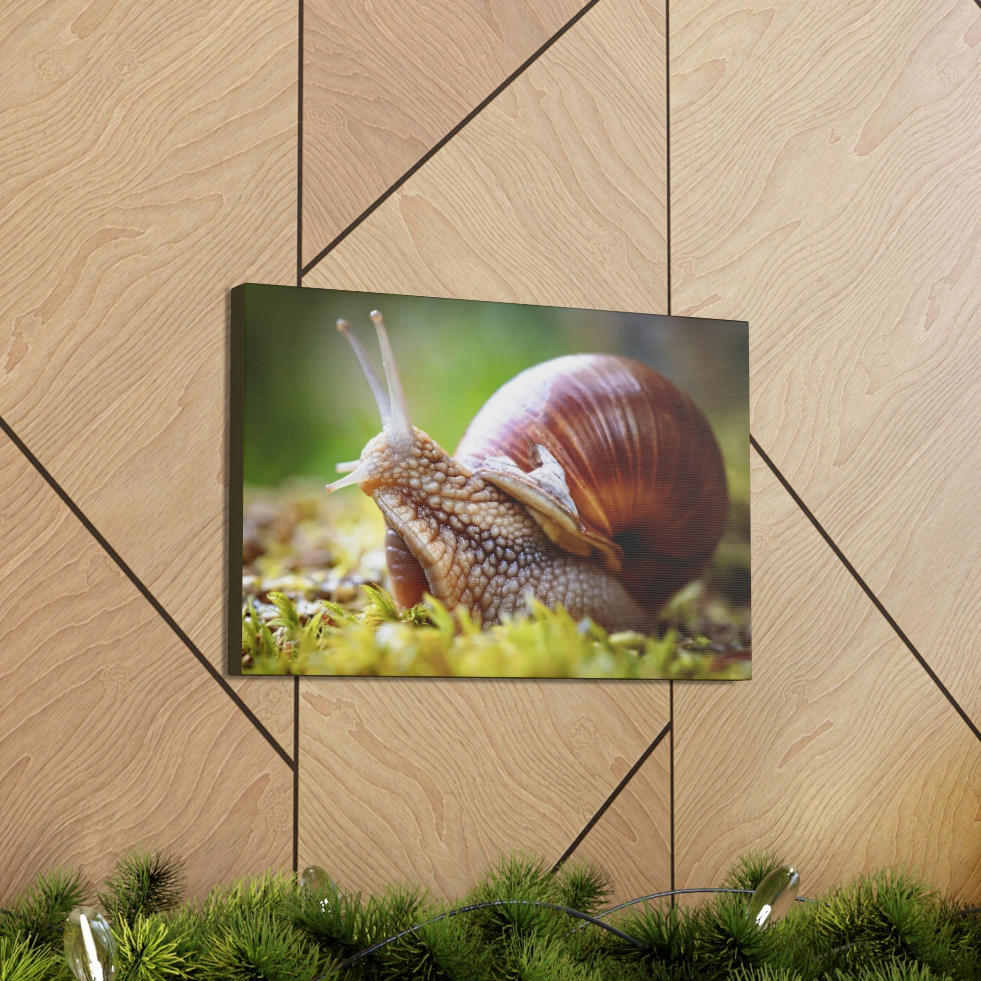 Scripture Walls Majestic Snails Art Majestic Snails Print Animal Wall Art Wildlife Canvas Prints Wall Art Ready to Hang Unframed-Express Your Love Gifts