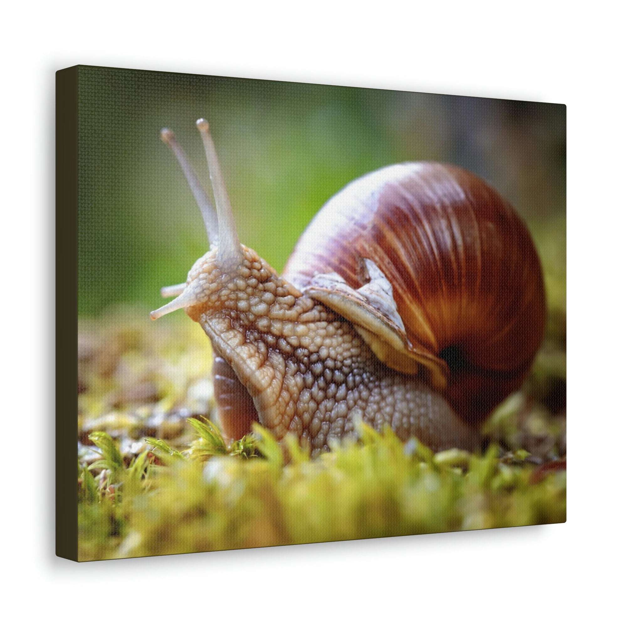 Scripture Walls Majestic Snails Art Majestic Snails Print Animal Wall Art Wildlife Canvas Prints Wall Art Ready to Hang Unframed-Express Your Love Gifts