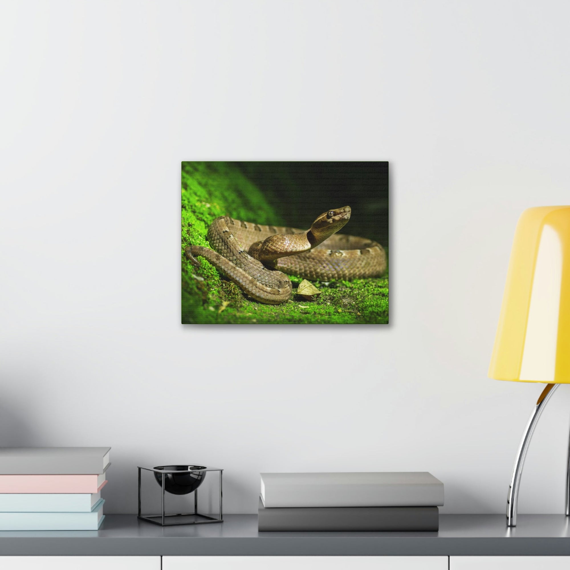 Scripture Walls Majestic Snake Art Majestic Snake Print Animal Wall Art Wildlife Canvas Prints Wall Art Ready to Hang Unframed-Express Your Love Gifts