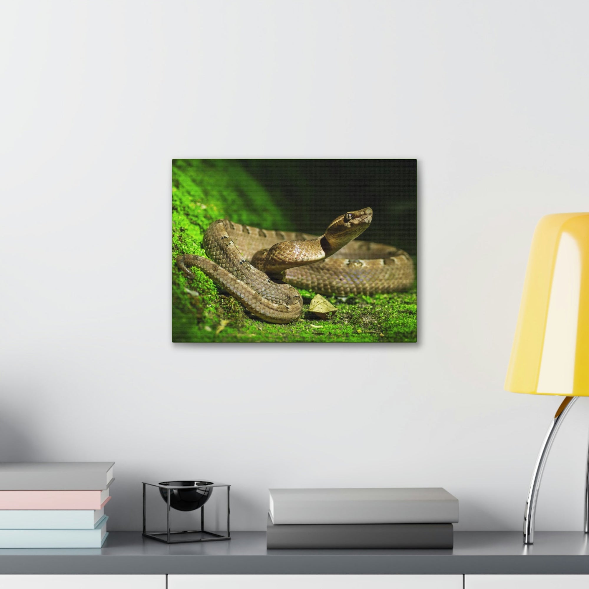 Scripture Walls Majestic Snake Art Majestic Snake Print Animal Wall Art Wildlife Canvas Prints Wall Art Ready to Hang Unframed-Express Your Love Gifts