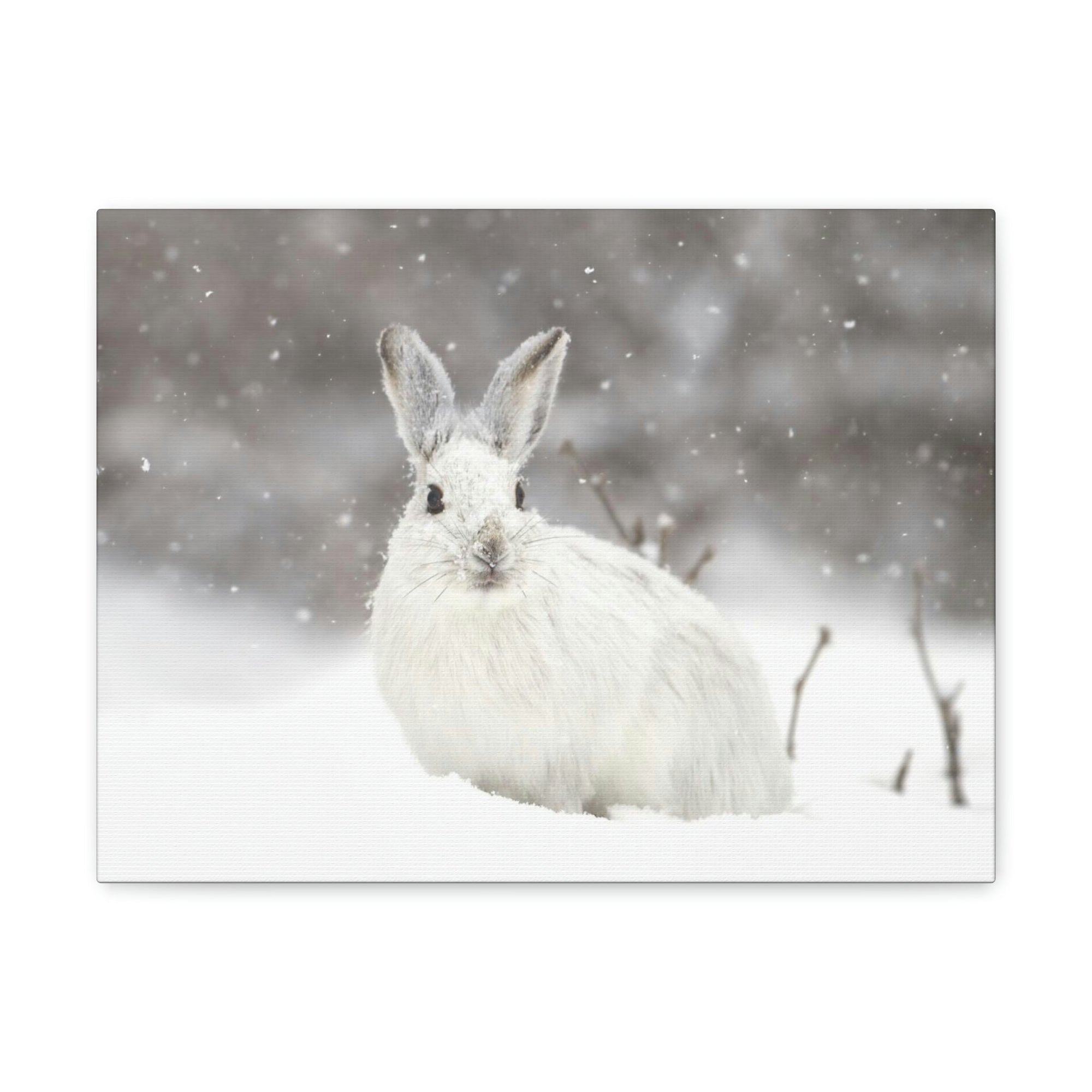 Scripture Walls Majestic Snow Hare Art Majestic Snow Hare Print Animal Wall Art Wildlife Canvas Prints Wall Art Ready to Hang Unframed-Express Your Love Gifts