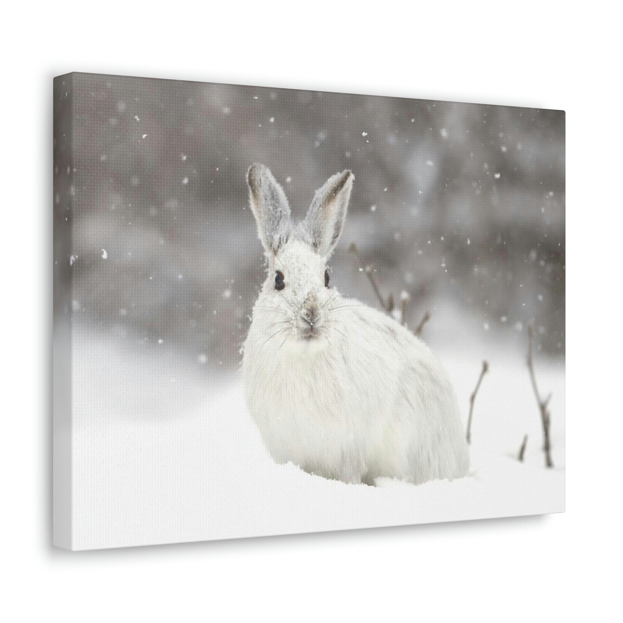 Scripture Walls Majestic Snow Hare Art Majestic Snow Hare Print Animal Wall Art Wildlife Canvas Prints Wall Art Ready to Hang Unframed-Express Your Love Gifts