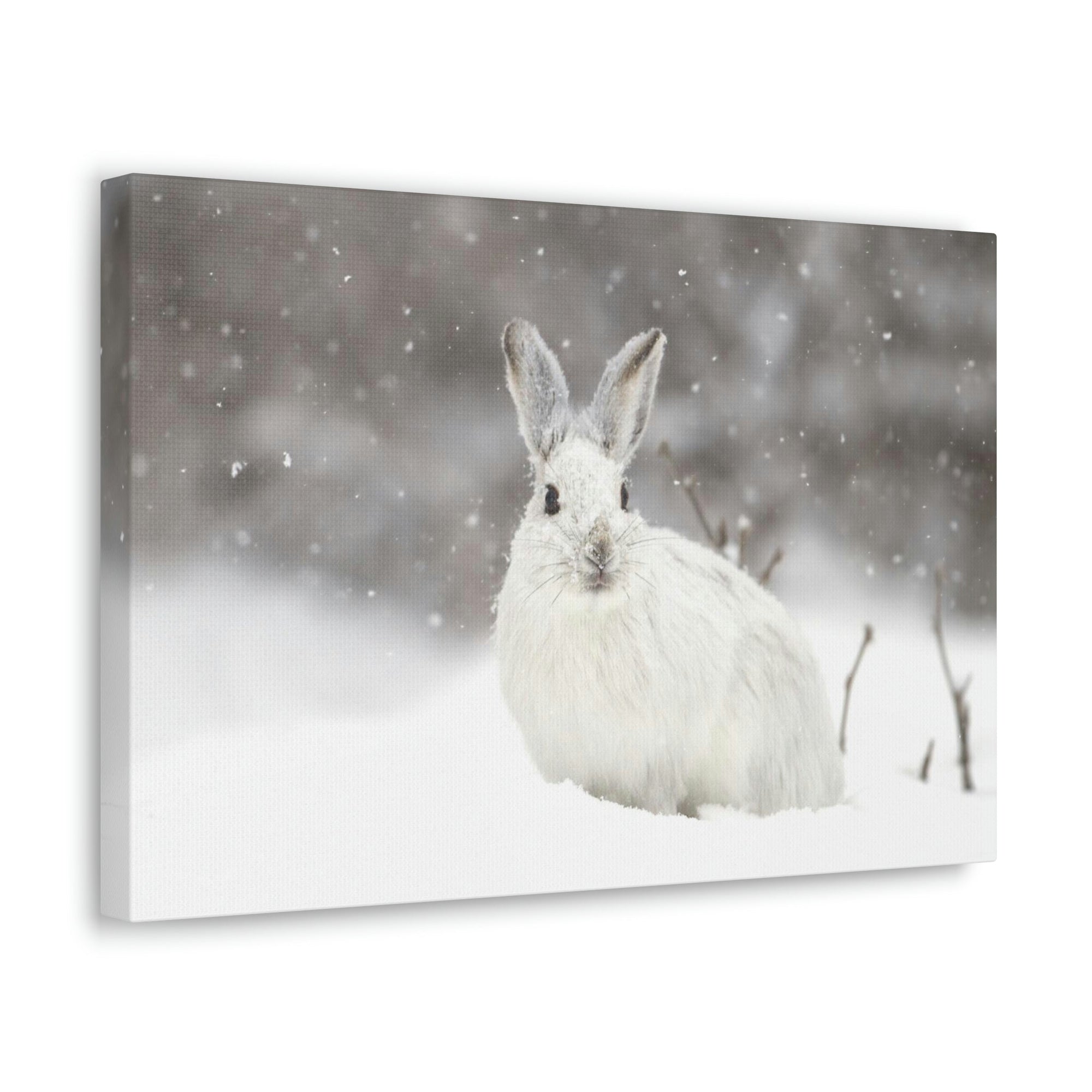 Scripture Walls Majestic Snow Hare Art Majestic Snow Hare Print Animal Wall Art Wildlife Canvas Prints Wall Art Ready to Hang Unframed-Express Your Love Gifts