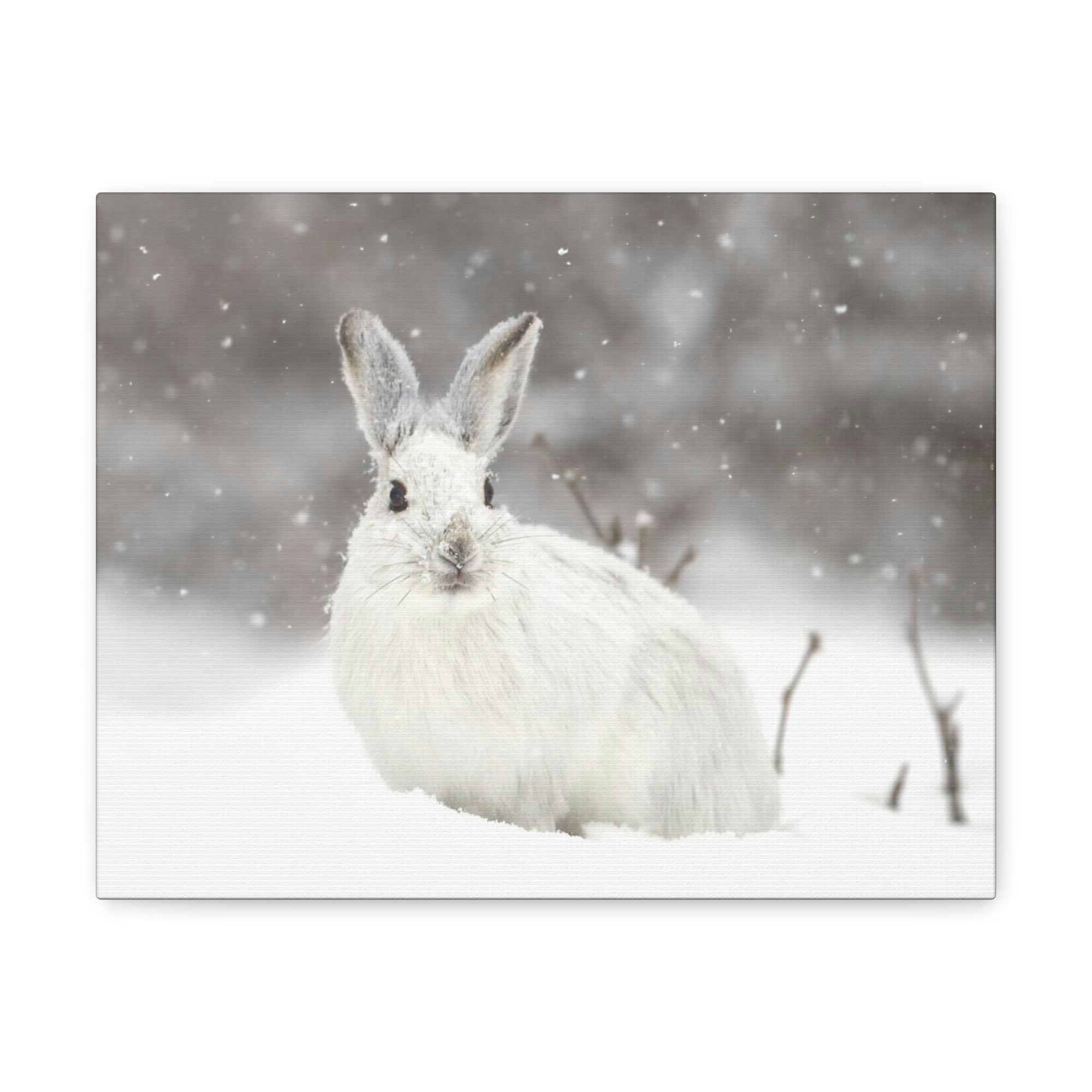 Scripture Walls Majestic Snow Hare Art Majestic Snow Hare Print Animal Wall Art Wildlife Canvas Prints Wall Art Ready to Hang Unframed-Express Your Love Gifts