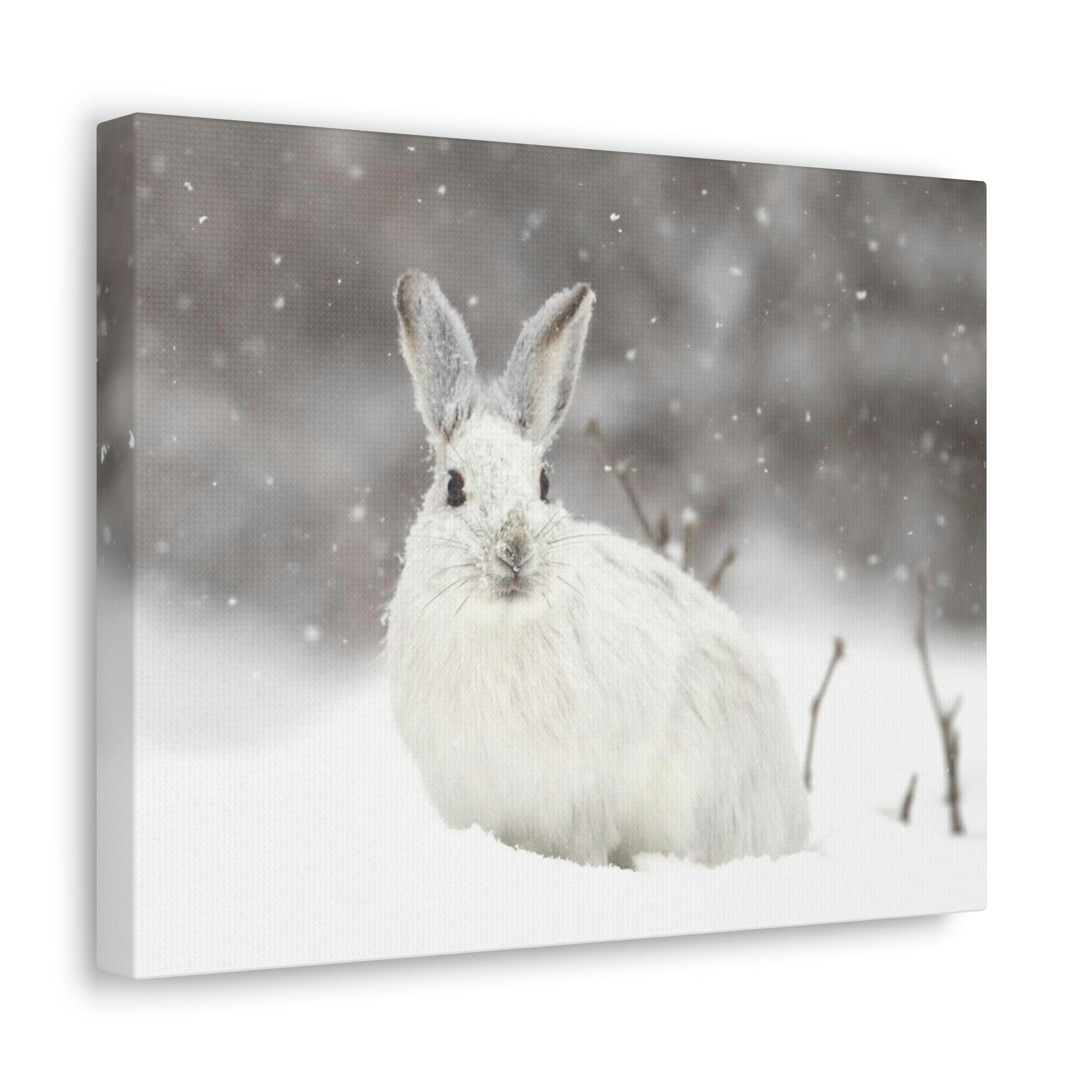 Scripture Walls Majestic Snow Hare Art Majestic Snow Hare Print Animal Wall Art Wildlife Canvas Prints Wall Art Ready to Hang Unframed-Express Your Love Gifts