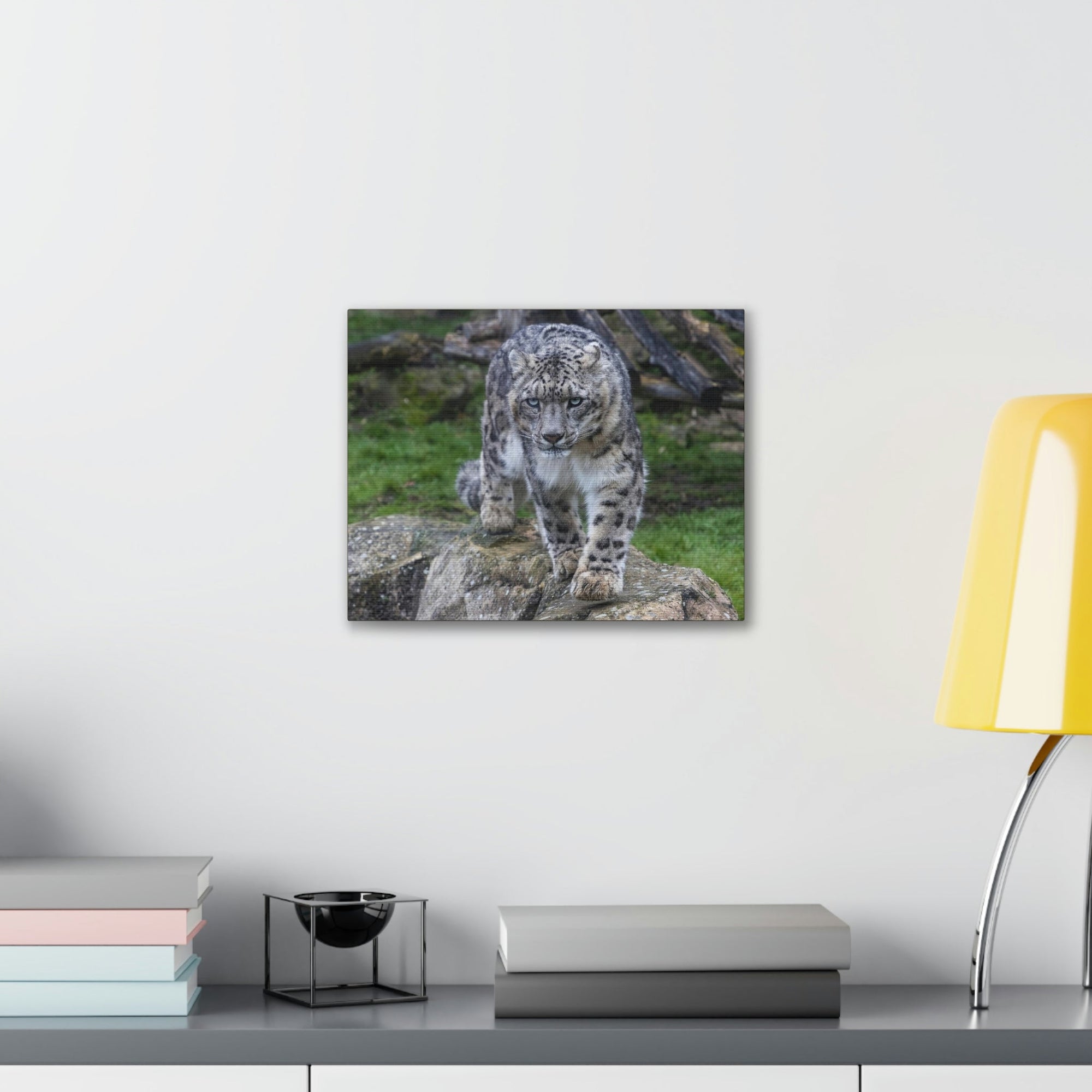 Scripture Walls Majestic Snow Leopard Art Majestic Snow Leopard Print Animal Wall Art Wildlife Canvas Prints Wall Art Ready to Hang Unframed-Express Your Love Gifts