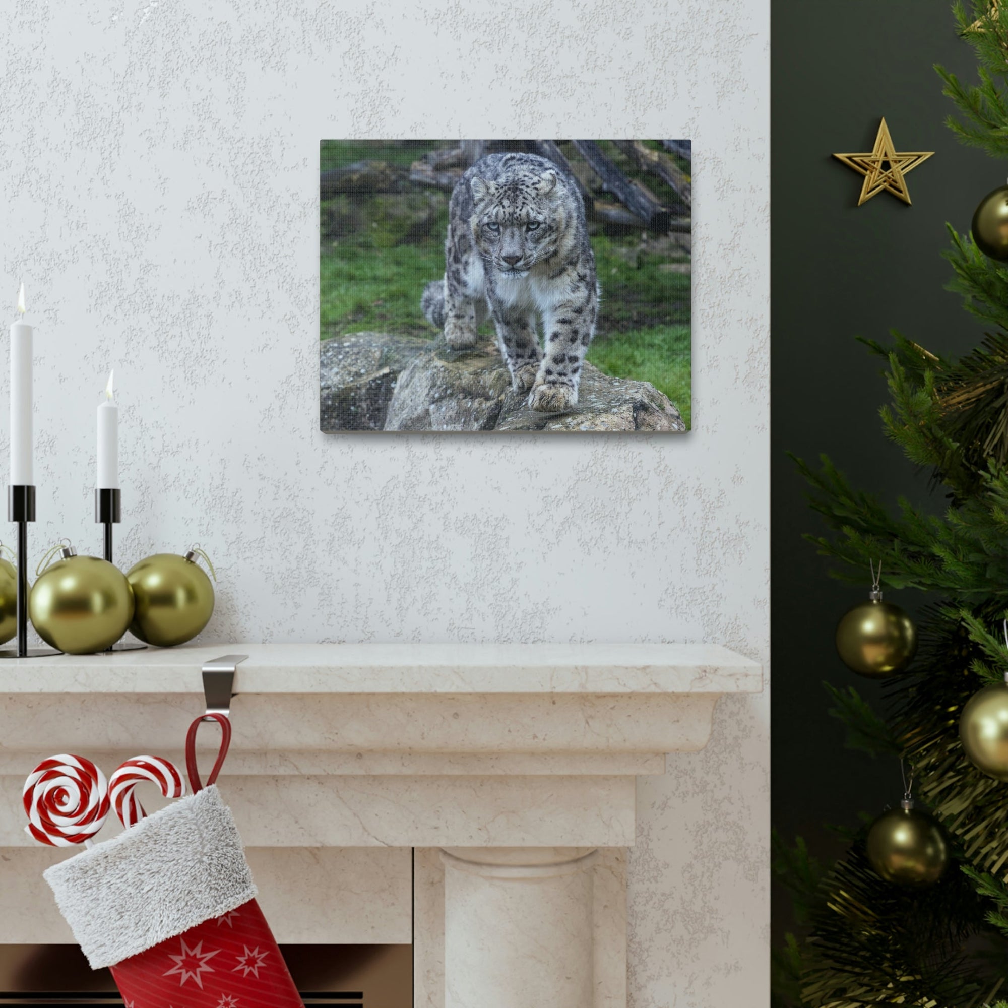 Scripture Walls Majestic Snow Leopard Art Majestic Snow Leopard Print Animal Wall Art Wildlife Canvas Prints Wall Art Ready to Hang Unframed-Express Your Love Gifts