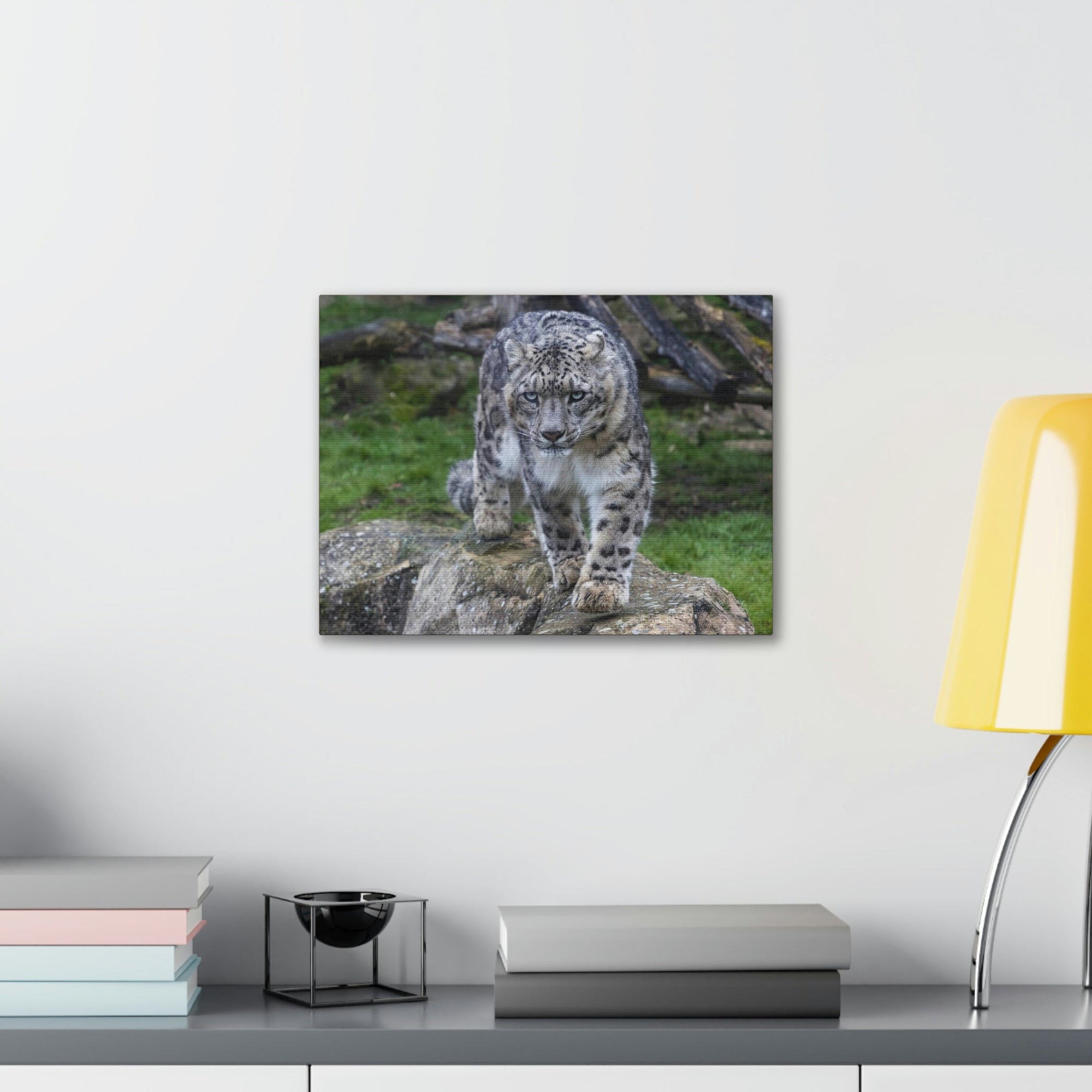 Scripture Walls Majestic Snow Leopard Art Majestic Snow Leopard Print Animal Wall Art Wildlife Canvas Prints Wall Art Ready to Hang Unframed-Express Your Love Gifts