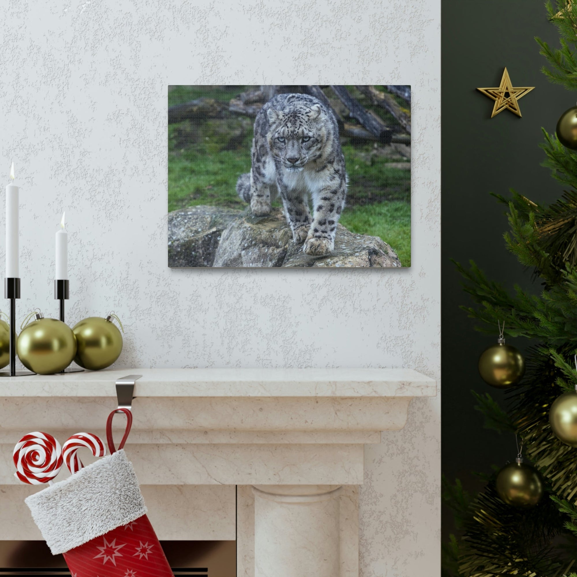 Scripture Walls Majestic Snow Leopard Art Majestic Snow Leopard Print Animal Wall Art Wildlife Canvas Prints Wall Art Ready to Hang Unframed-Express Your Love Gifts