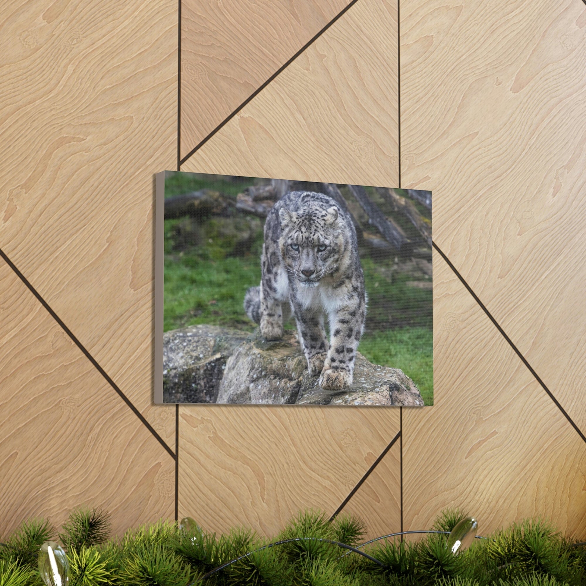 Scripture Walls Majestic Snow Leopard Art Majestic Snow Leopard Print Animal Wall Art Wildlife Canvas Prints Wall Art Ready to Hang Unframed-Express Your Love Gifts