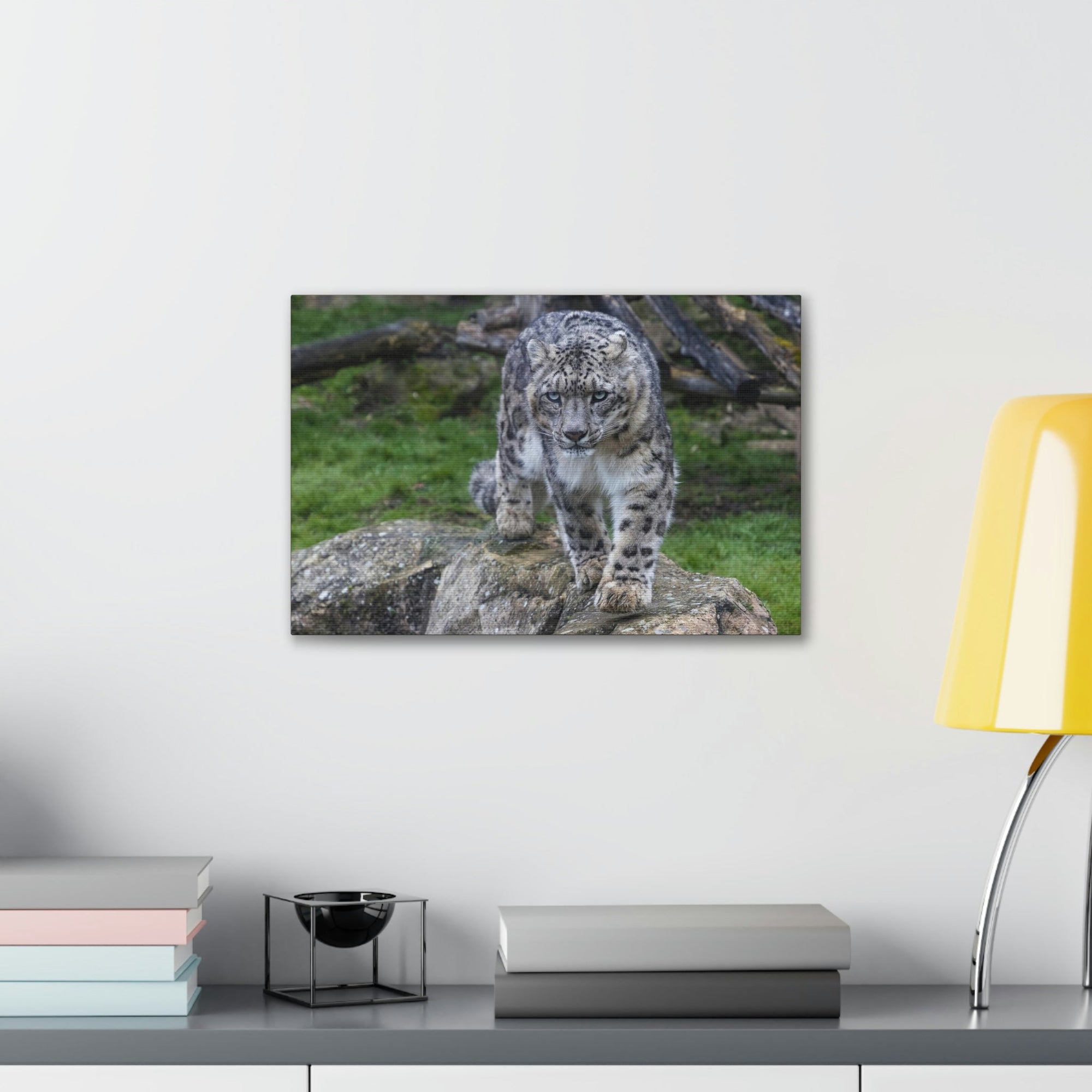 Scripture Walls Majestic Snow Leopard Art Majestic Snow Leopard Print Animal Wall Art Wildlife Canvas Prints Wall Art Ready to Hang Unframed-Express Your Love Gifts