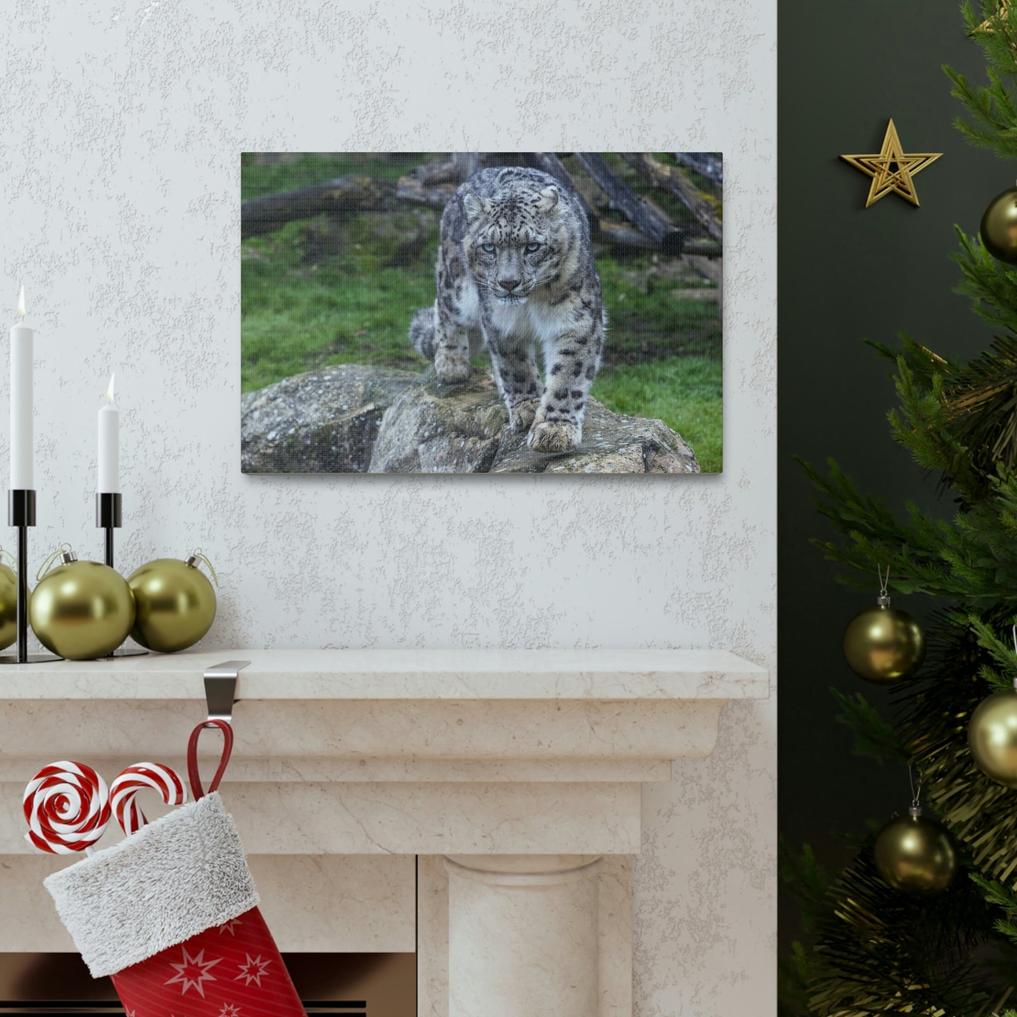 Scripture Walls Majestic Snow Leopard Art Majestic Snow Leopard Print Animal Wall Art Wildlife Canvas Prints Wall Art Ready to Hang Unframed-Express Your Love Gifts