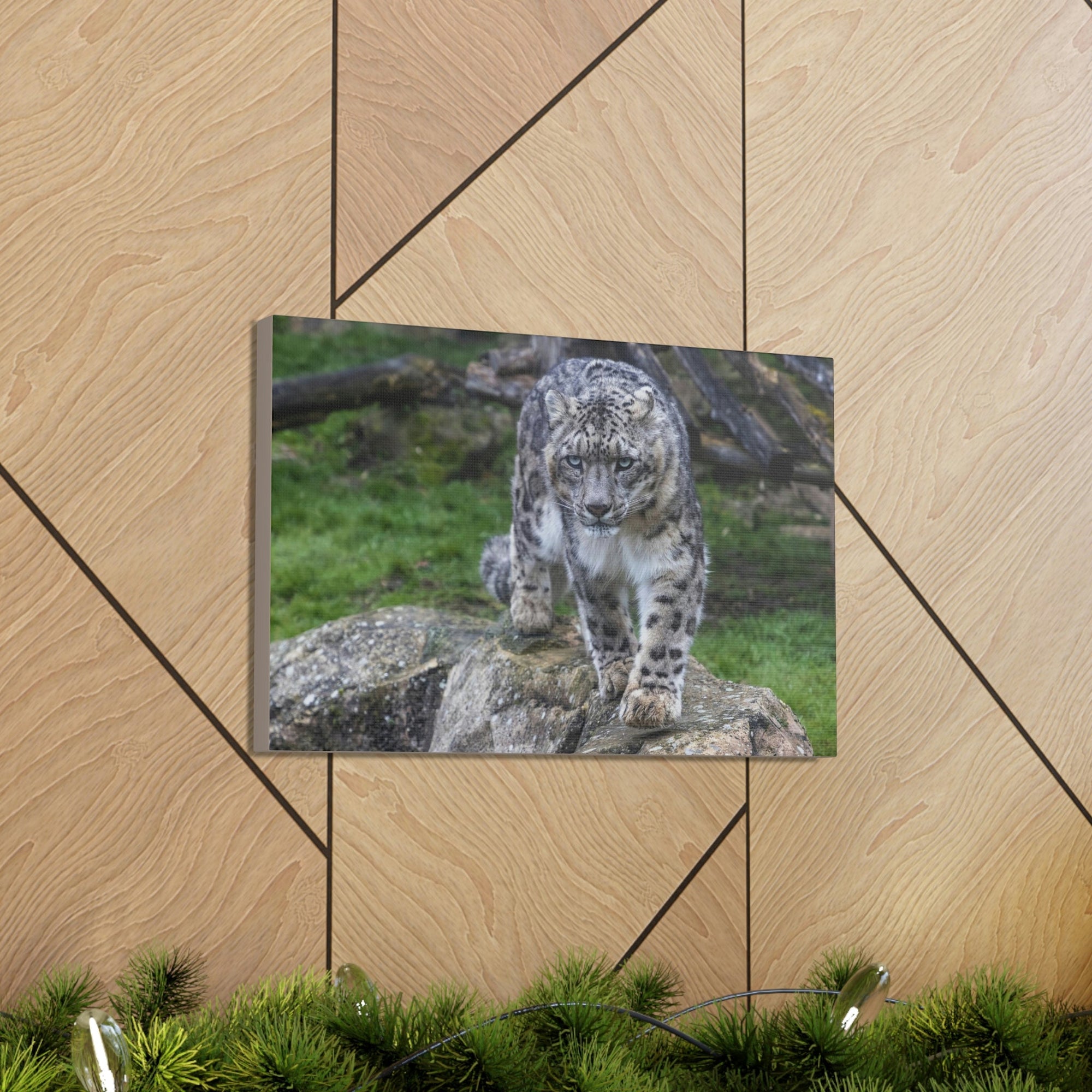 Scripture Walls Majestic Snow Leopard Art Majestic Snow Leopard Print Animal Wall Art Wildlife Canvas Prints Wall Art Ready to Hang Unframed-Express Your Love Gifts