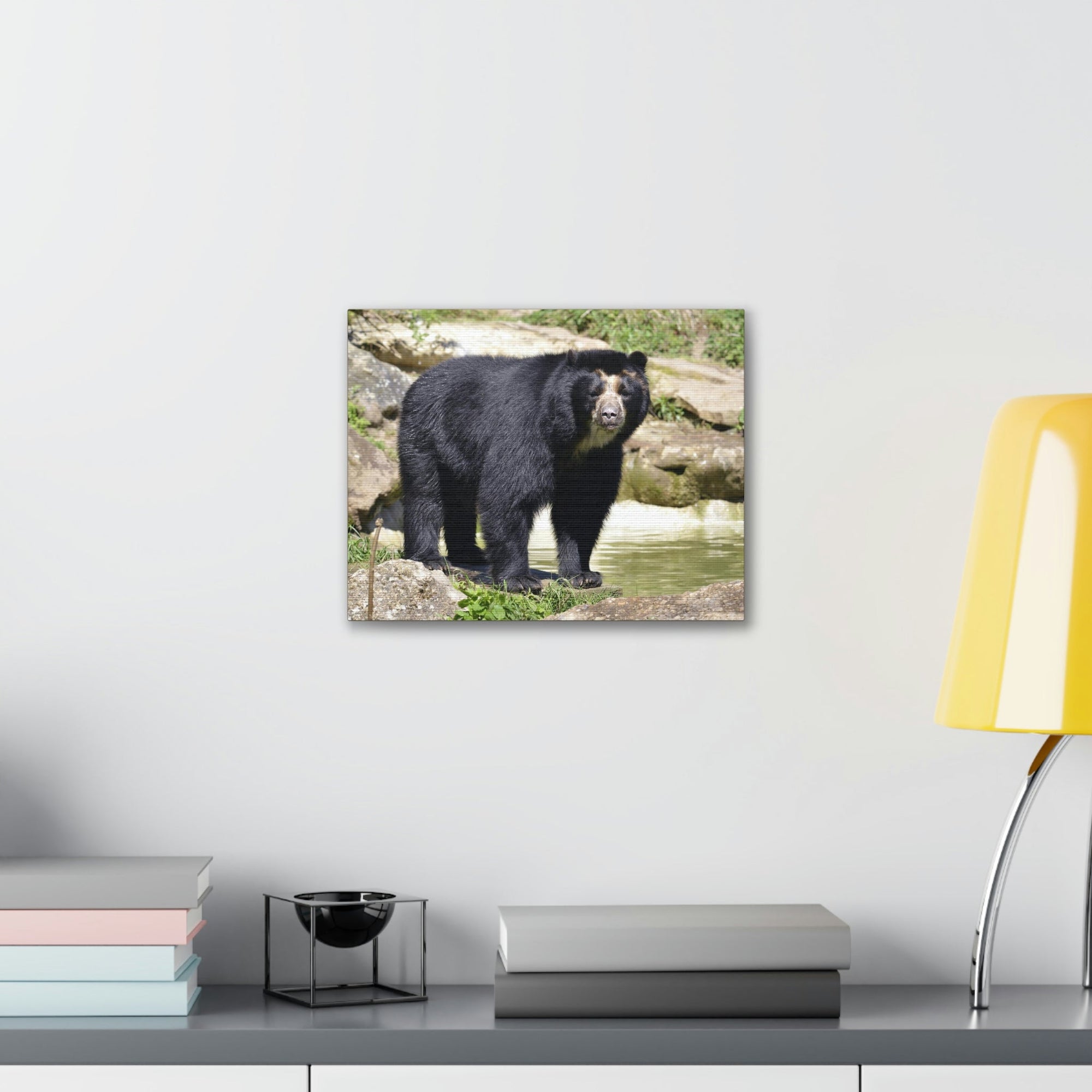 Scripture Walls Majestic Spectacled Bear Art Majestic Spectacled Bear Print Animal Wall Art Wildlife Canvas Prints Wall Art Ready to Hang Unframed-Express Your Love Gifts