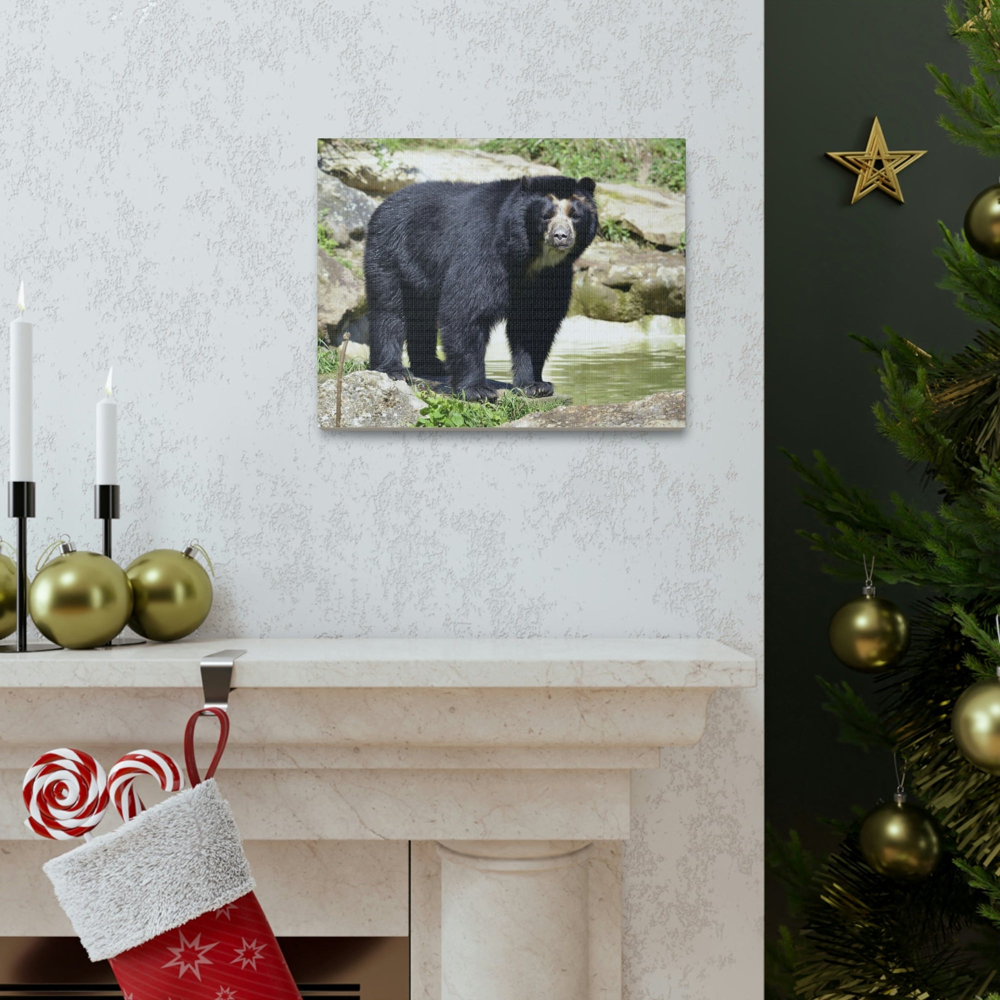 Scripture Walls Majestic Spectacled Bear Art Majestic Spectacled Bear Print Animal Wall Art Wildlife Canvas Prints Wall Art Ready to Hang Unframed-Express Your Love Gifts