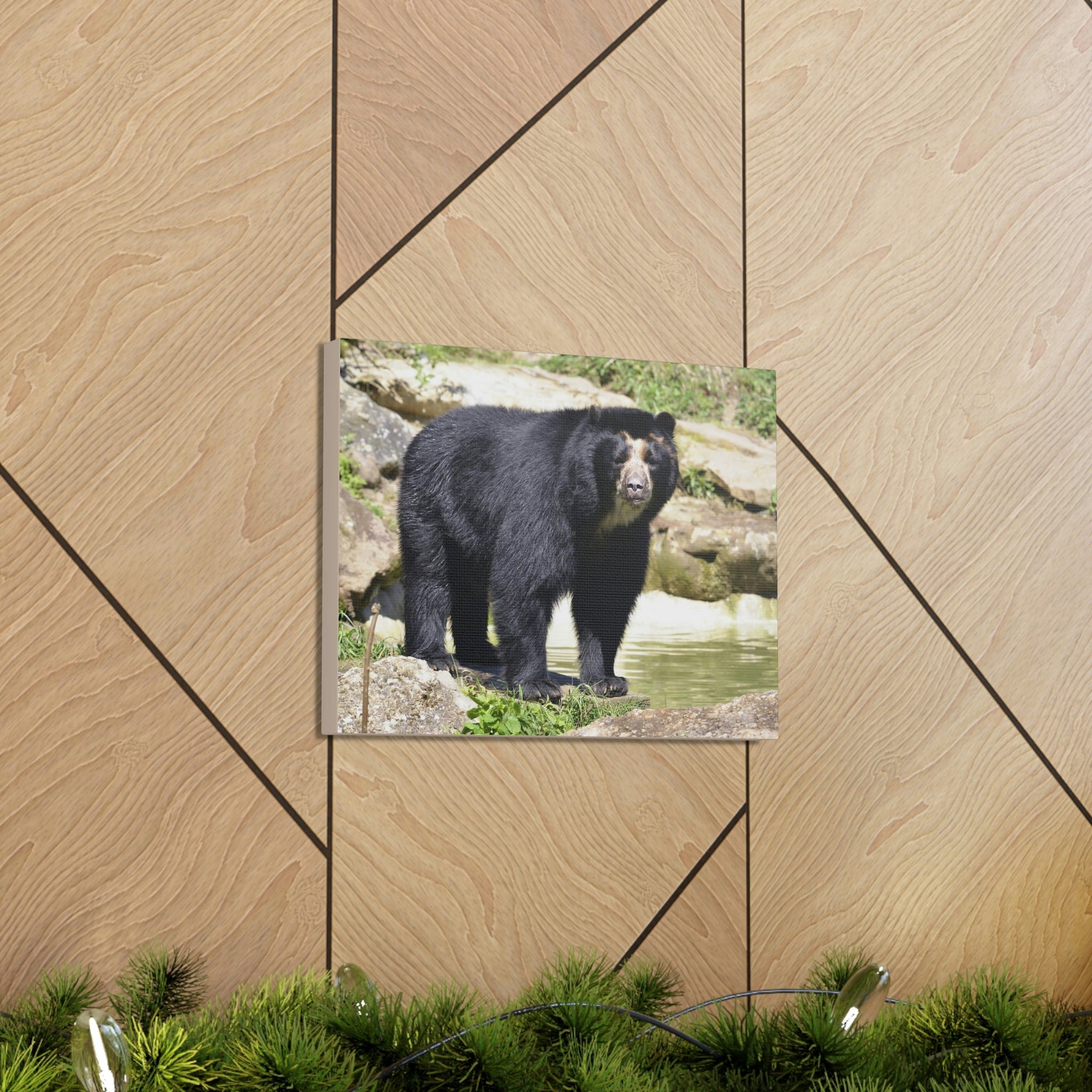 Scripture Walls Majestic Spectacled Bear Art Majestic Spectacled Bear Print Animal Wall Art Wildlife Canvas Prints Wall Art Ready to Hang Unframed-Express Your Love Gifts