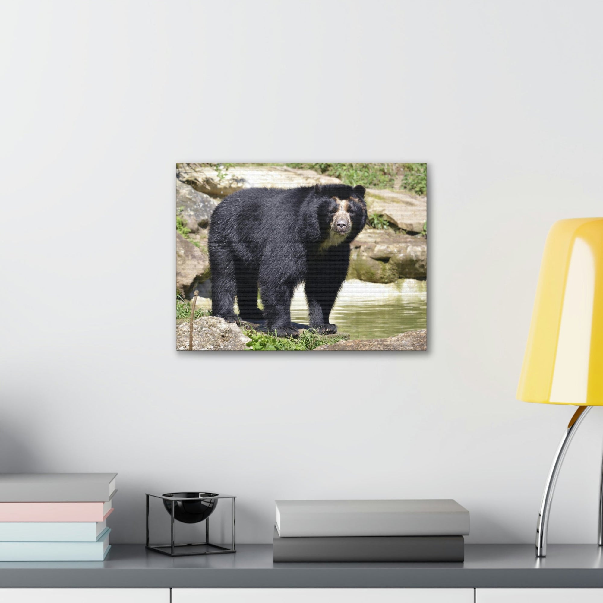 Scripture Walls Majestic Spectacled Bear Art Majestic Spectacled Bear Print Animal Wall Art Wildlife Canvas Prints Wall Art Ready to Hang Unframed-Express Your Love Gifts