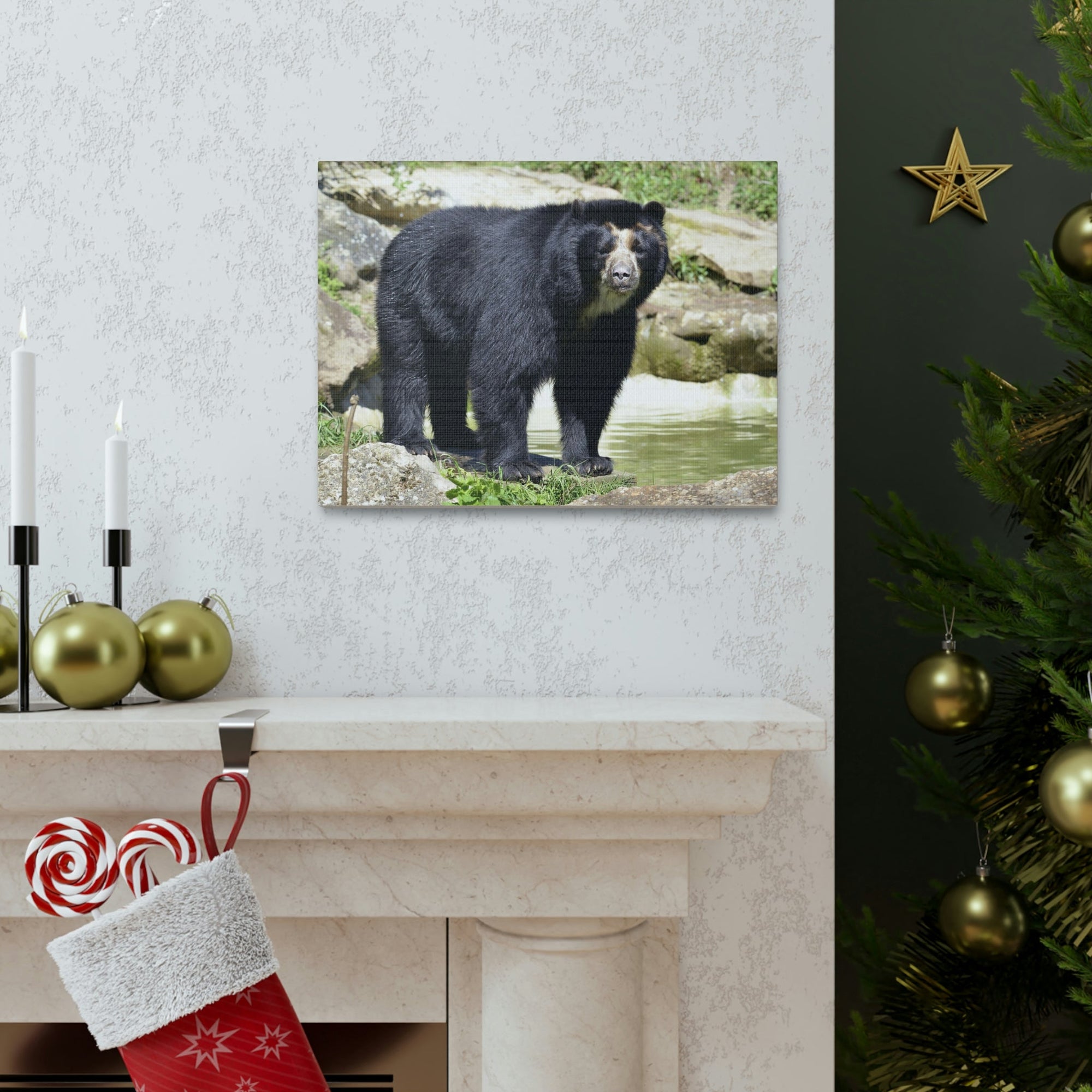 Scripture Walls Majestic Spectacled Bear Art Majestic Spectacled Bear Print Animal Wall Art Wildlife Canvas Prints Wall Art Ready to Hang Unframed-Express Your Love Gifts