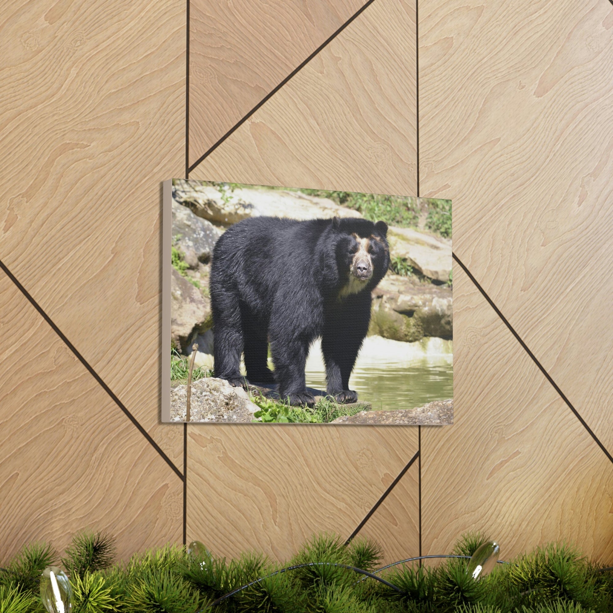 Scripture Walls Majestic Spectacled Bear Art Majestic Spectacled Bear Print Animal Wall Art Wildlife Canvas Prints Wall Art Ready to Hang Unframed-Express Your Love Gifts