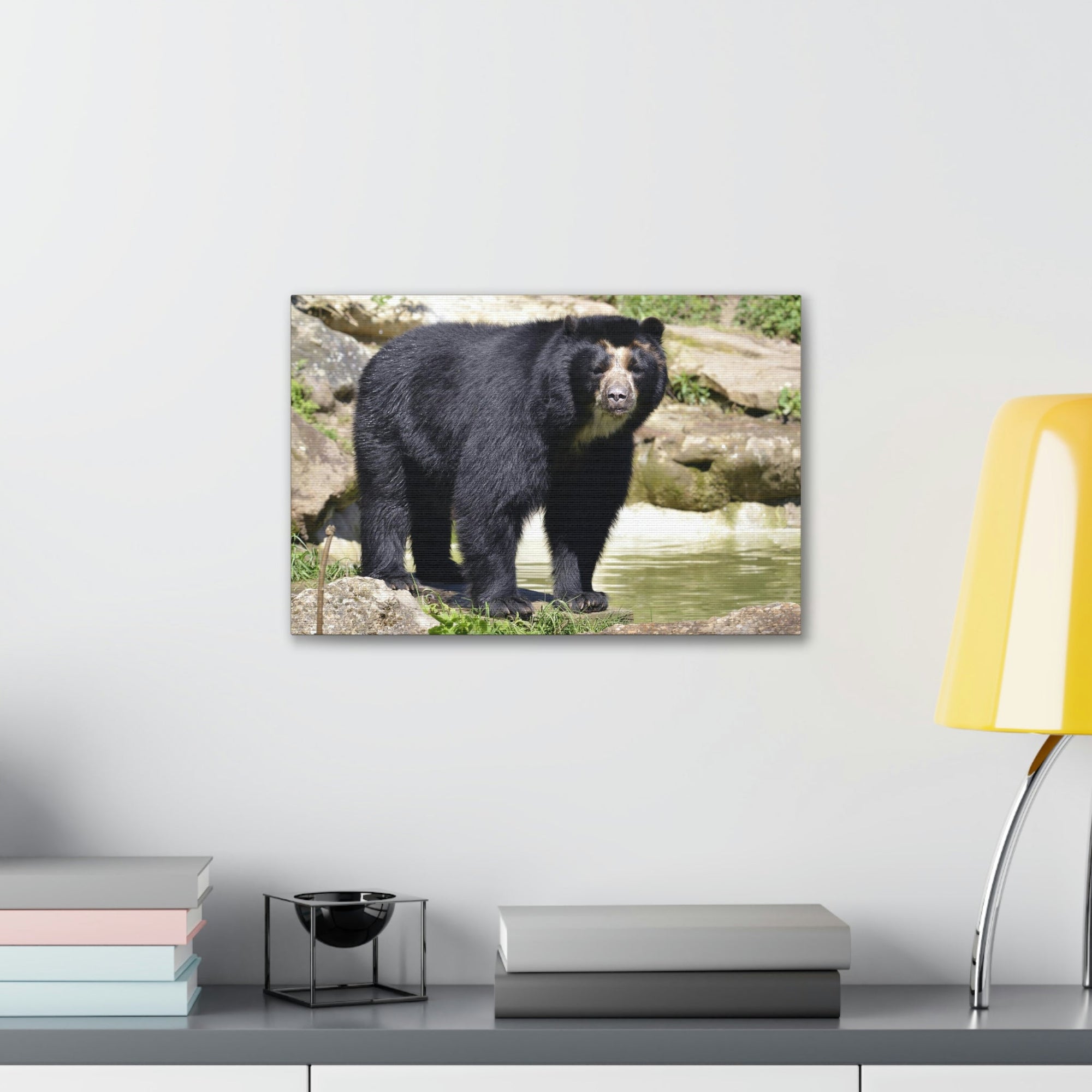 Scripture Walls Majestic Spectacled Bear Art Majestic Spectacled Bear Print Animal Wall Art Wildlife Canvas Prints Wall Art Ready to Hang Unframed-Express Your Love Gifts