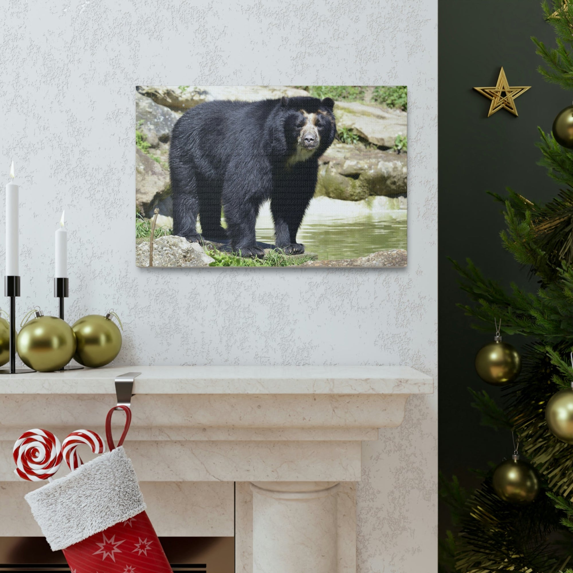 Scripture Walls Majestic Spectacled Bear Art Majestic Spectacled Bear Print Animal Wall Art Wildlife Canvas Prints Wall Art Ready to Hang Unframed-Express Your Love Gifts