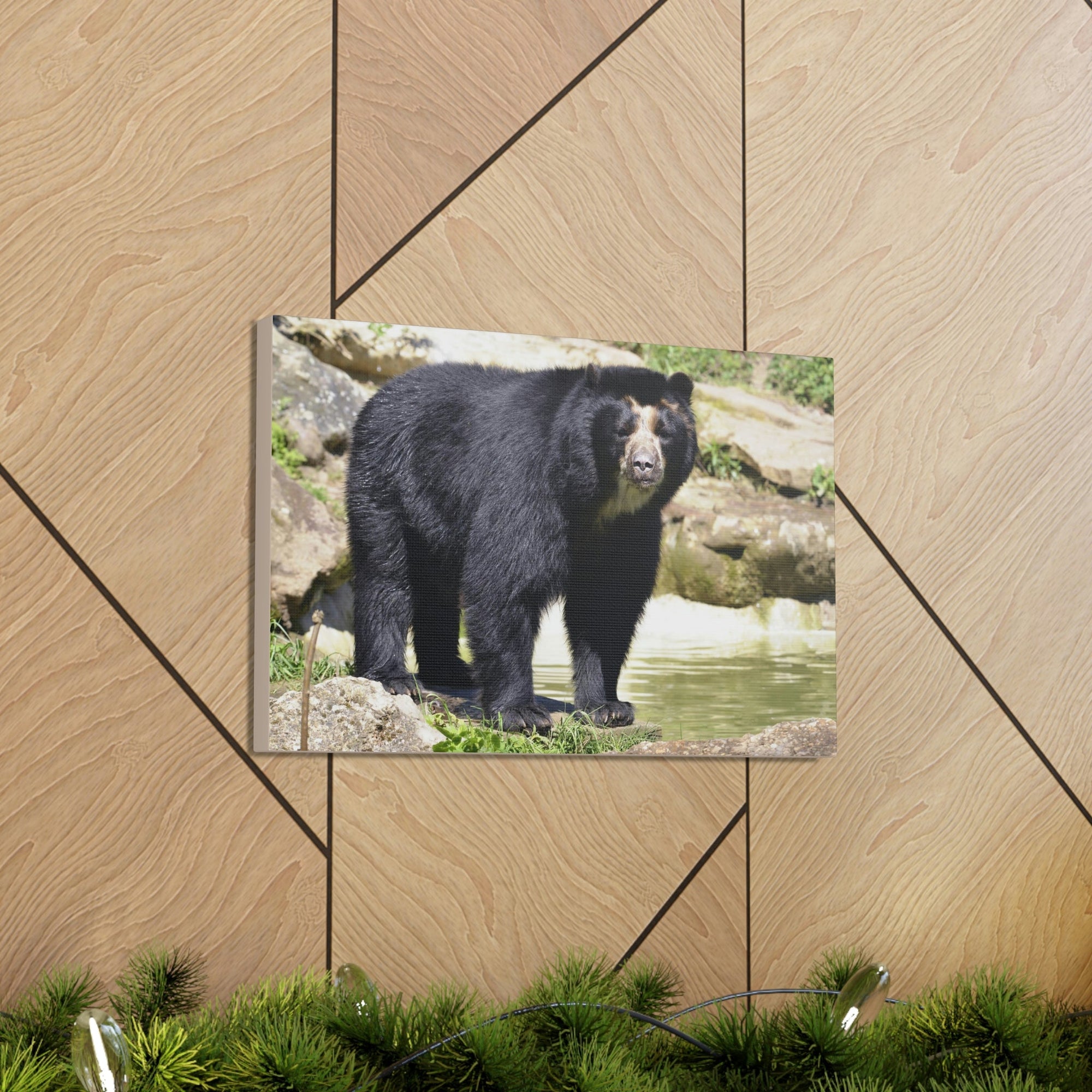 Scripture Walls Majestic Spectacled Bear Art Majestic Spectacled Bear Print Animal Wall Art Wildlife Canvas Prints Wall Art Ready to Hang Unframed-Express Your Love Gifts