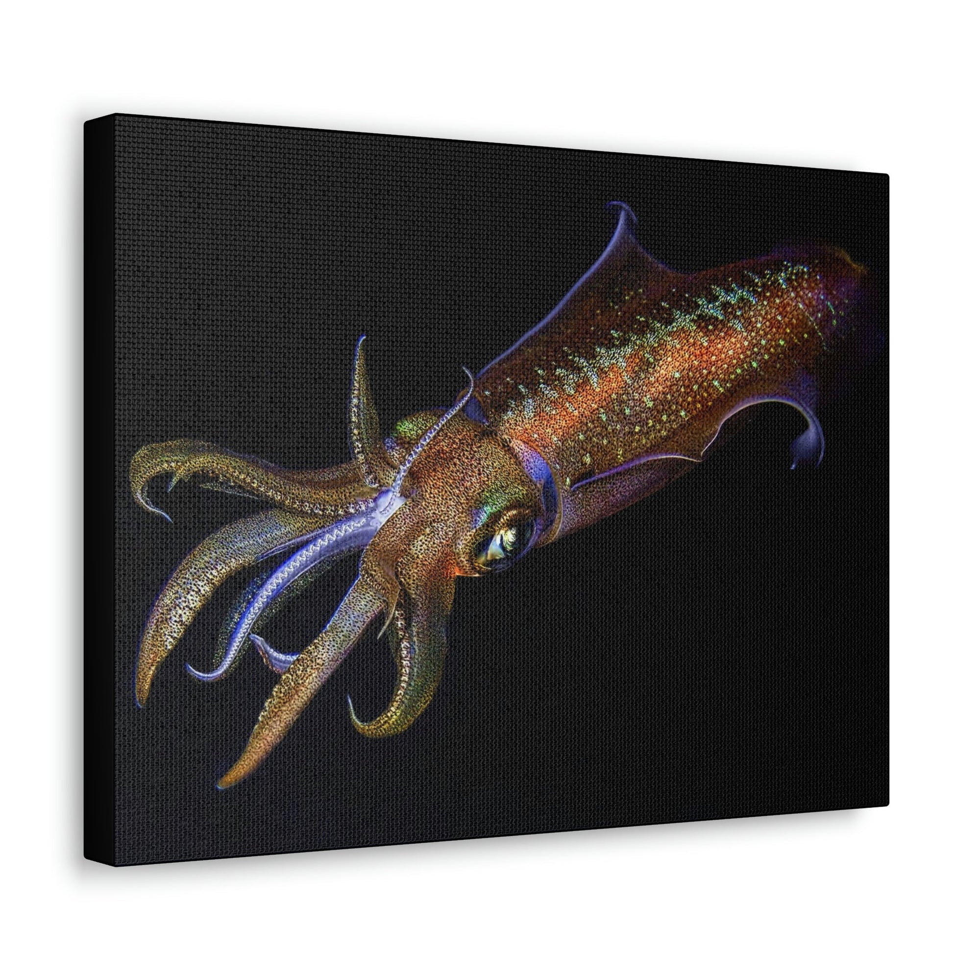 Scripture Walls Majestic Squid Art Majestic Squid Print Animal Wall Art Wildlife Canvas Prints Wall Art Ready to Hang Unframed-Express Your Love Gifts