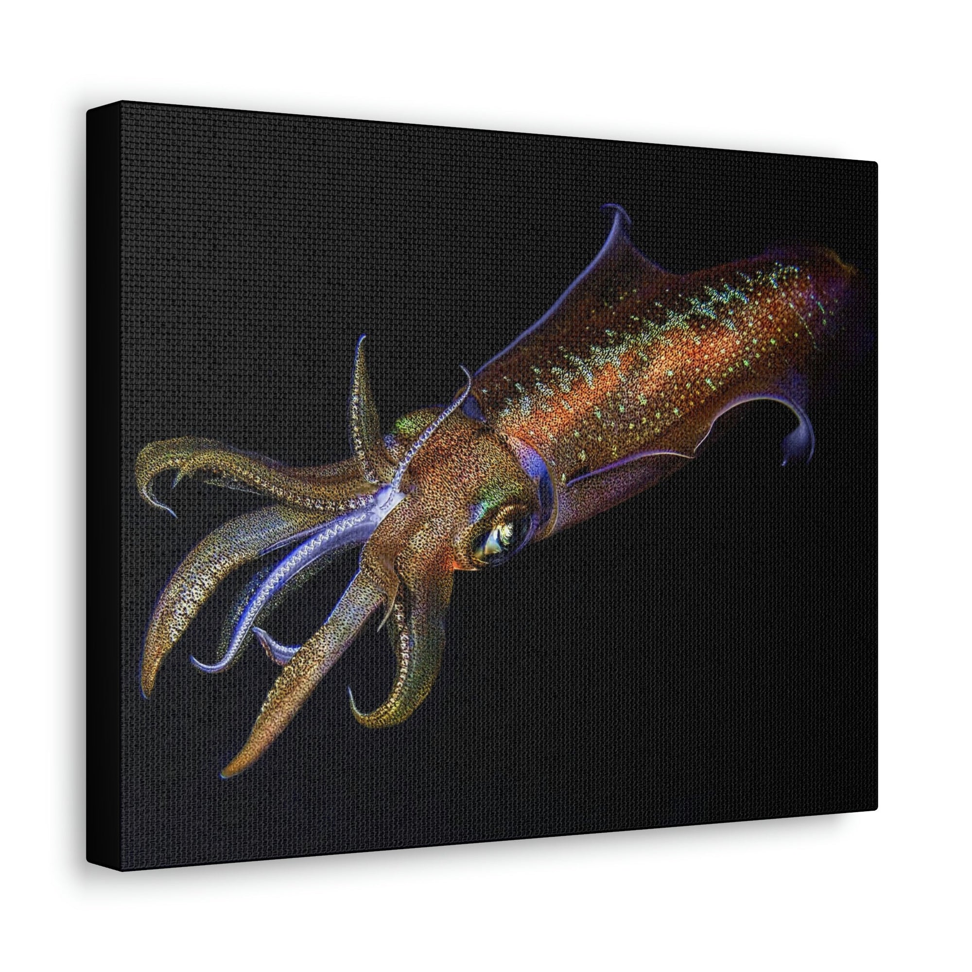 Scripture Walls Majestic Squid Art Majestic Squid Print Animal Wall Art Wildlife Canvas Prints Wall Art Ready to Hang Unframed-Express Your Love Gifts