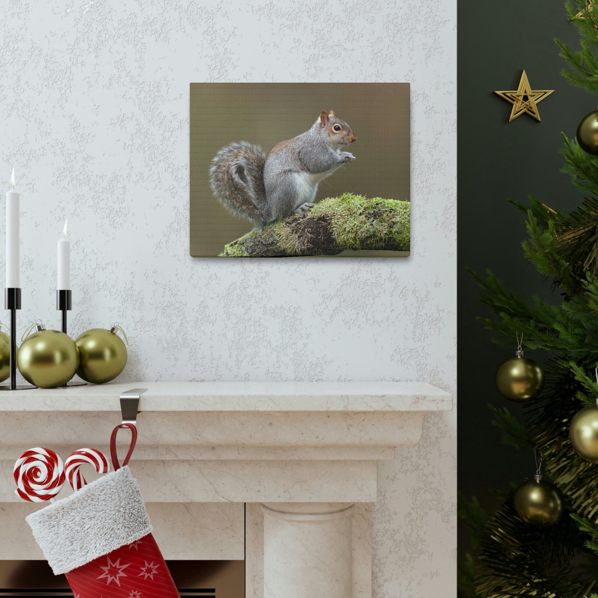 Scripture Walls Majestic Squirrel Art Majestic Squirrel Print Animal Wall Art Wildlife Canvas Prints Wall Art Ready to Hang Unframed-Express Your Love Gifts