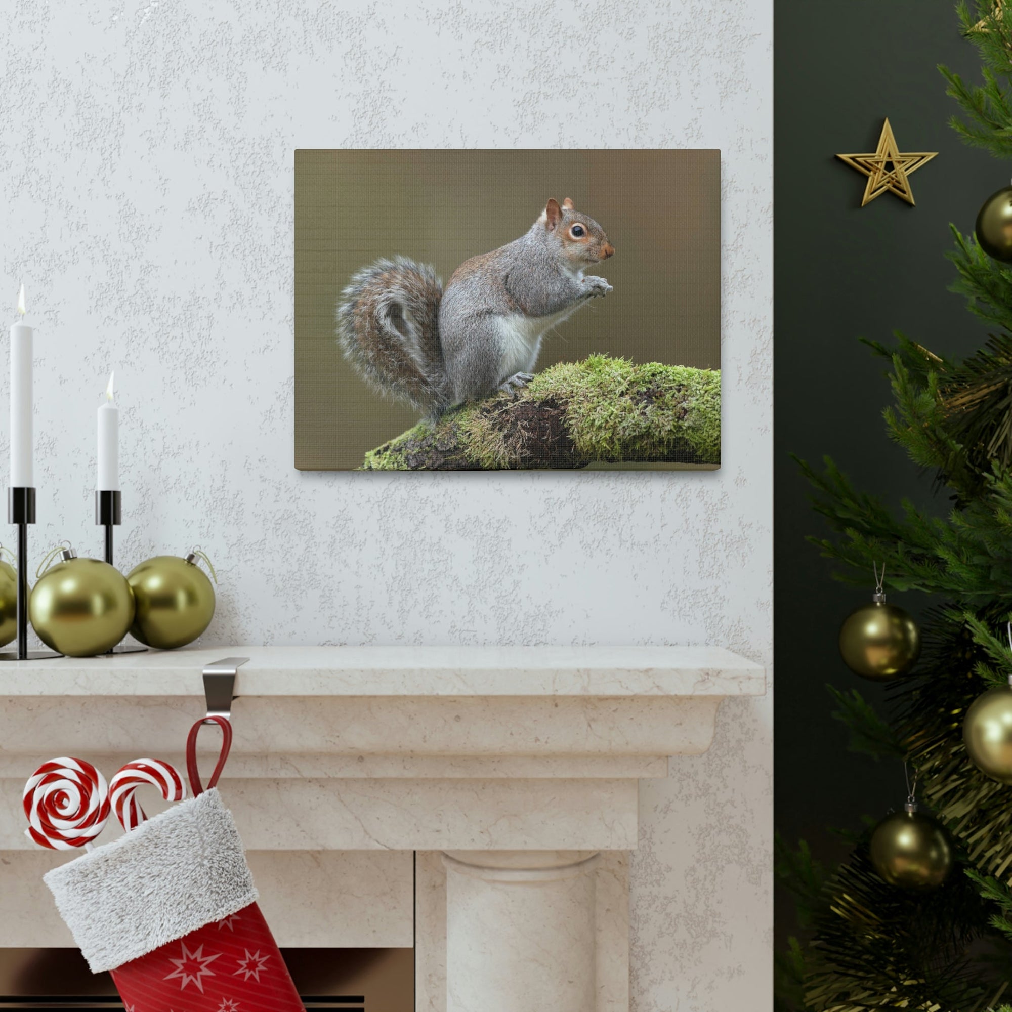 Scripture Walls Majestic Squirrel Art Majestic Squirrel Print Animal Wall Art Wildlife Canvas Prints Wall Art Ready to Hang Unframed-Express Your Love Gifts