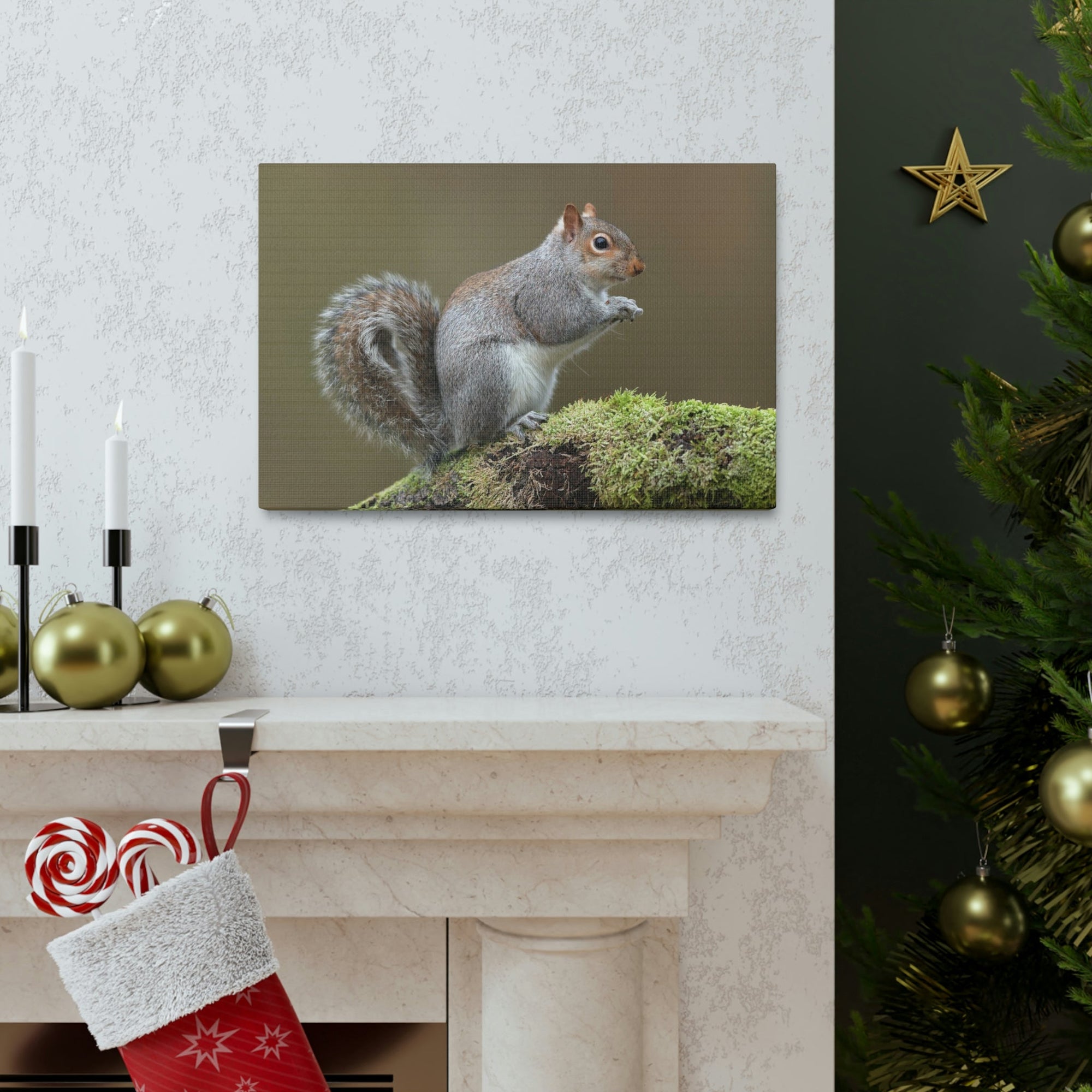 Scripture Walls Majestic Squirrel Art Majestic Squirrel Print Animal Wall Art Wildlife Canvas Prints Wall Art Ready to Hang Unframed-Express Your Love Gifts