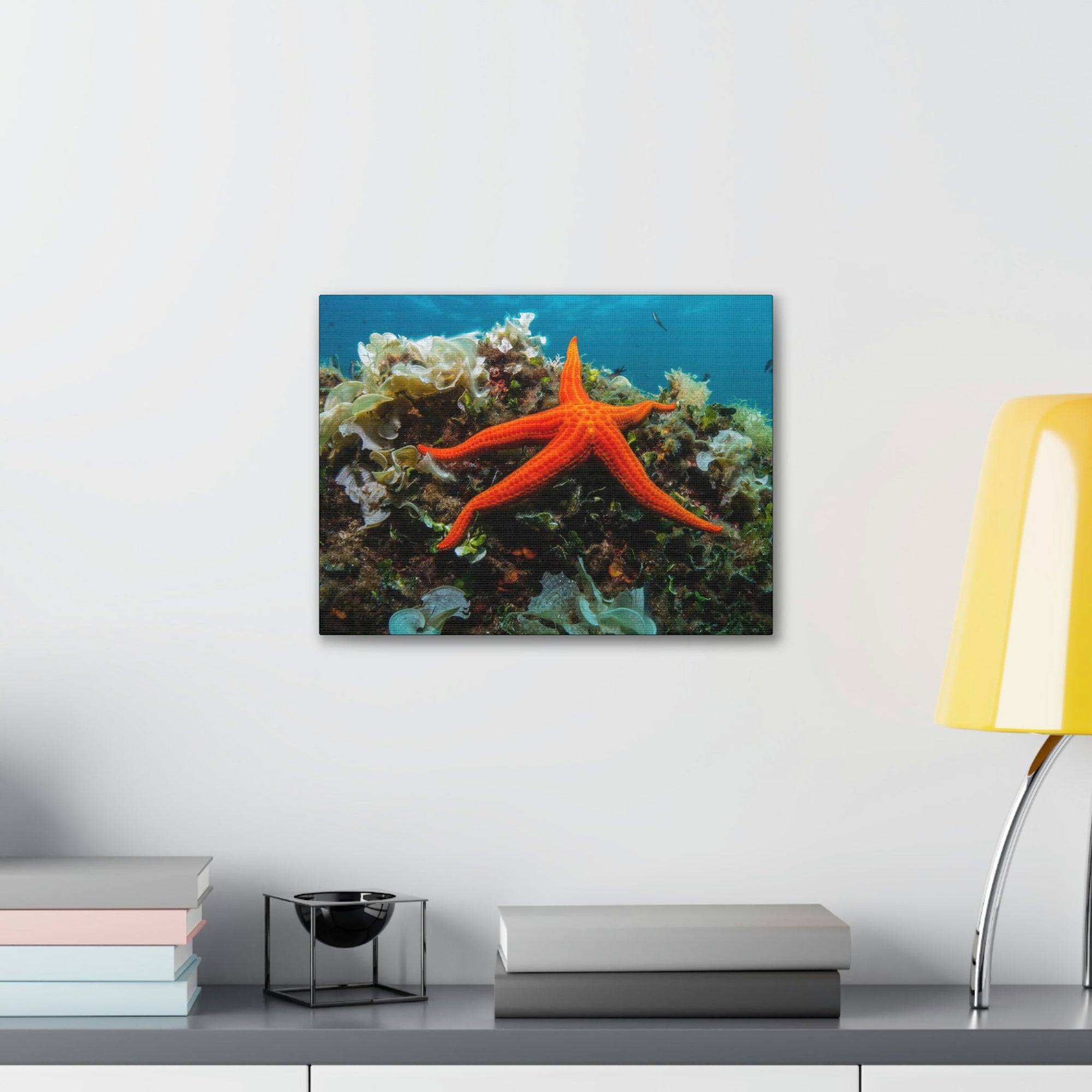 Scripture Walls Majestic Starfish Art Majestic Starfish Print Animal Wall Art Wildlife Canvas Prints Wall Art Ready to Hang Unframed-Express Your Love Gifts