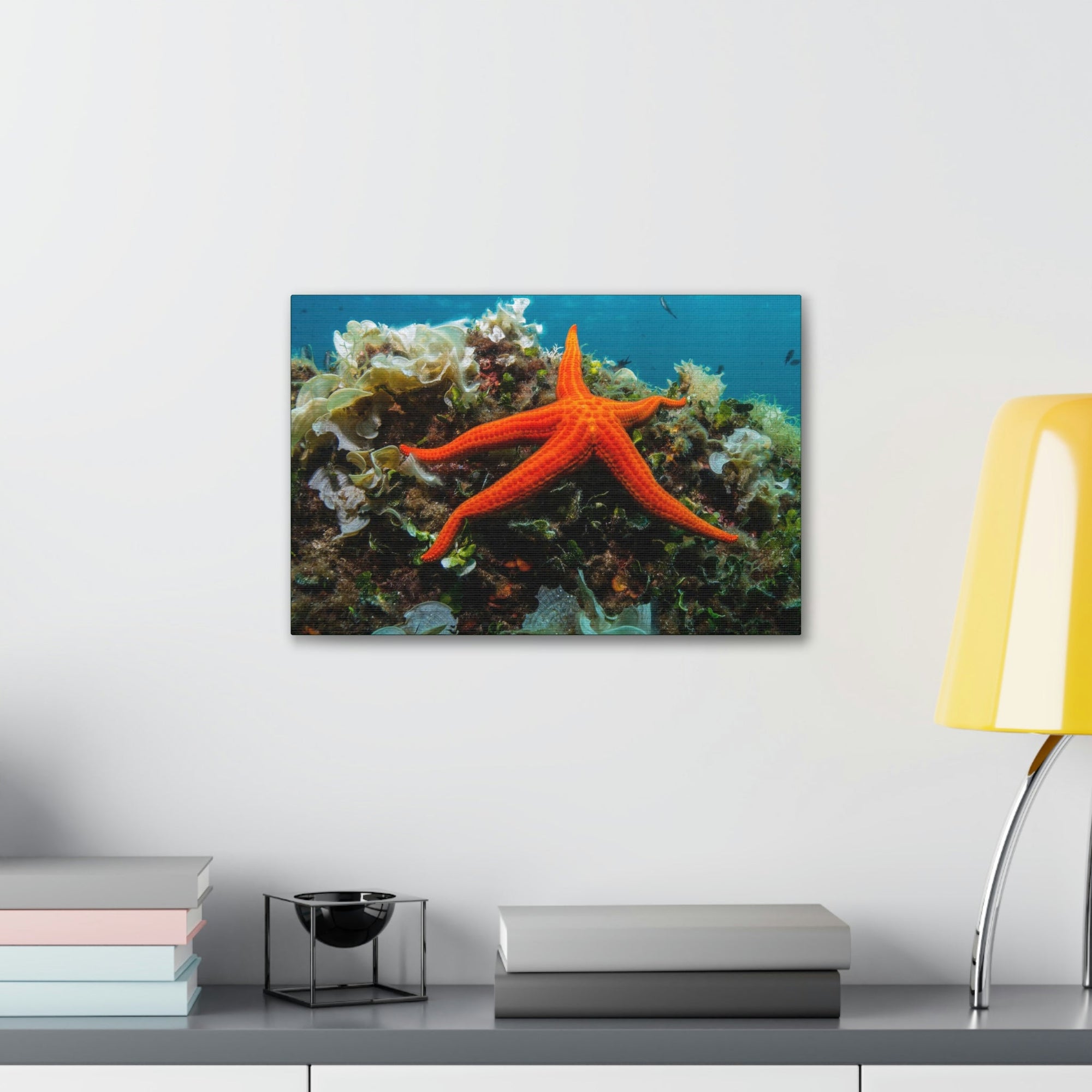 Scripture Walls Majestic Starfish Art Majestic Starfish Print Animal Wall Art Wildlife Canvas Prints Wall Art Ready to Hang Unframed-Express Your Love Gifts