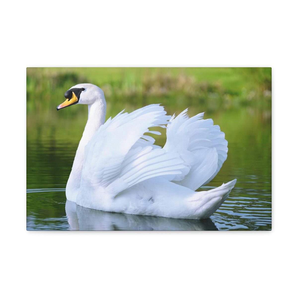 Scripture Walls Majestic Swan Art Majestic Swan Print Animal Wall Art Wildlife Canvas Prints Wall Art Ready to Hang Unframed-Express Your Love Gifts